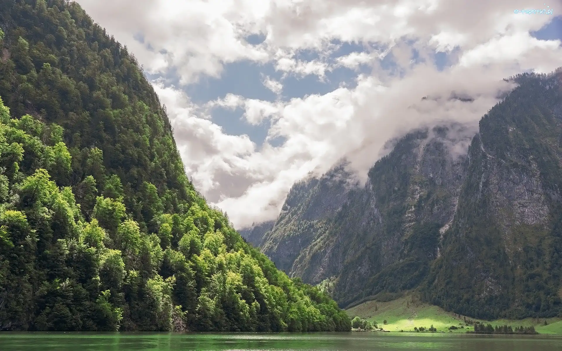 Niemcy, Alpy Berchtesgadeńskie, Drzewa, Góry, Park Narodowy Berchtesgaden, Bawaria, Jezioro Konigssee