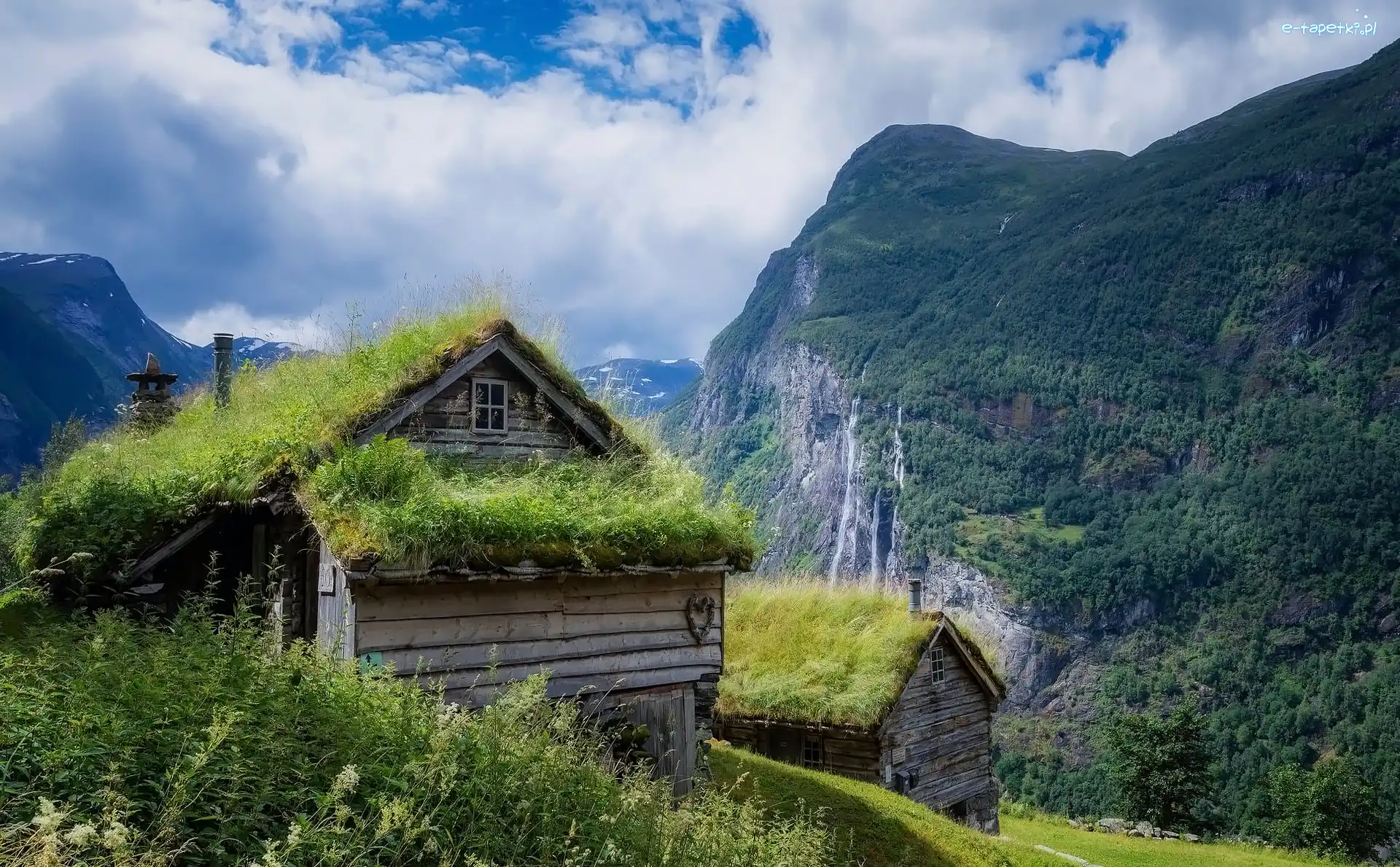 Domy, Trawa, Góry, Norwegia
