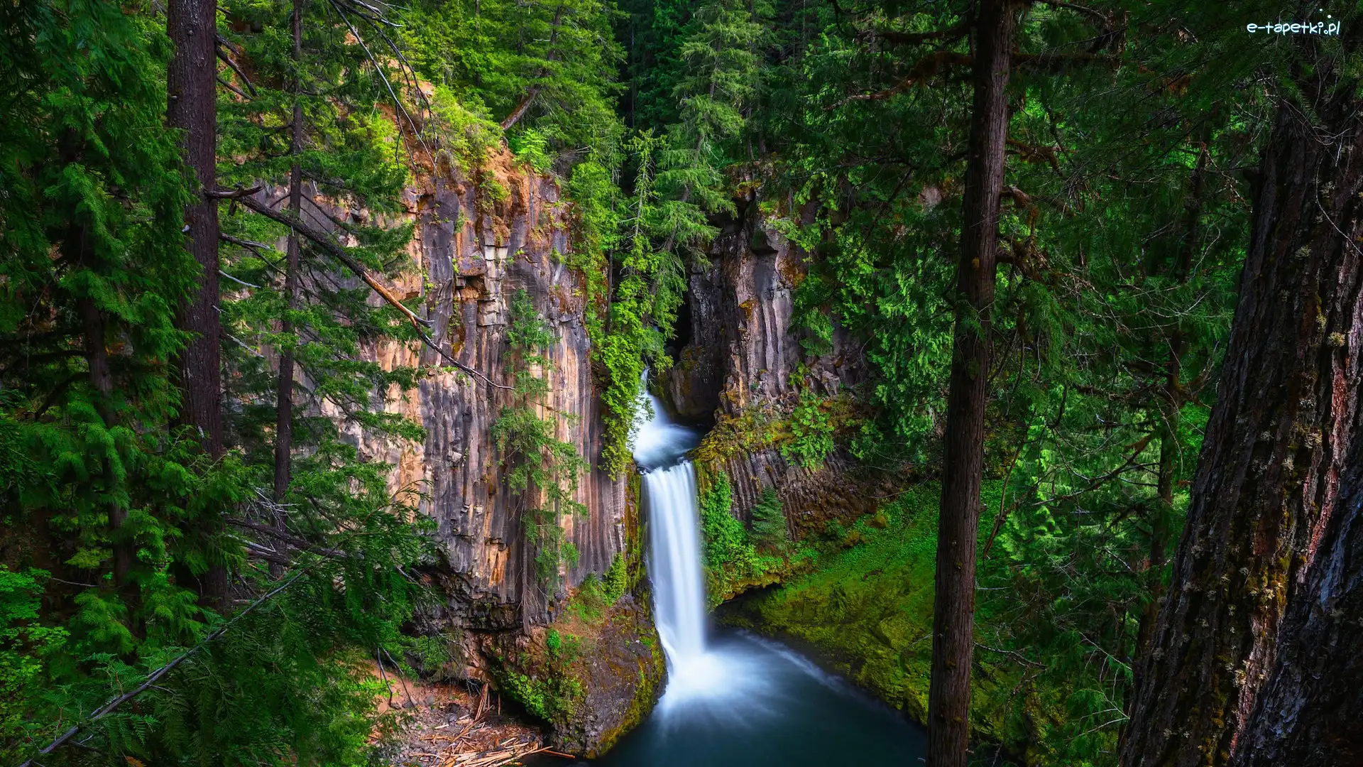 Drzewa, Skała, Wodospad, Oregon, Stany Zjednoczone, Las, Toketee Falls