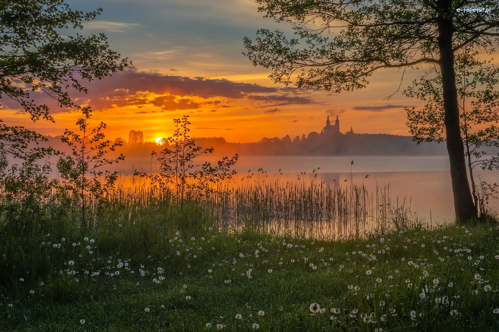 Wschód słońca, Drzewa, Mgła, Jezioro
