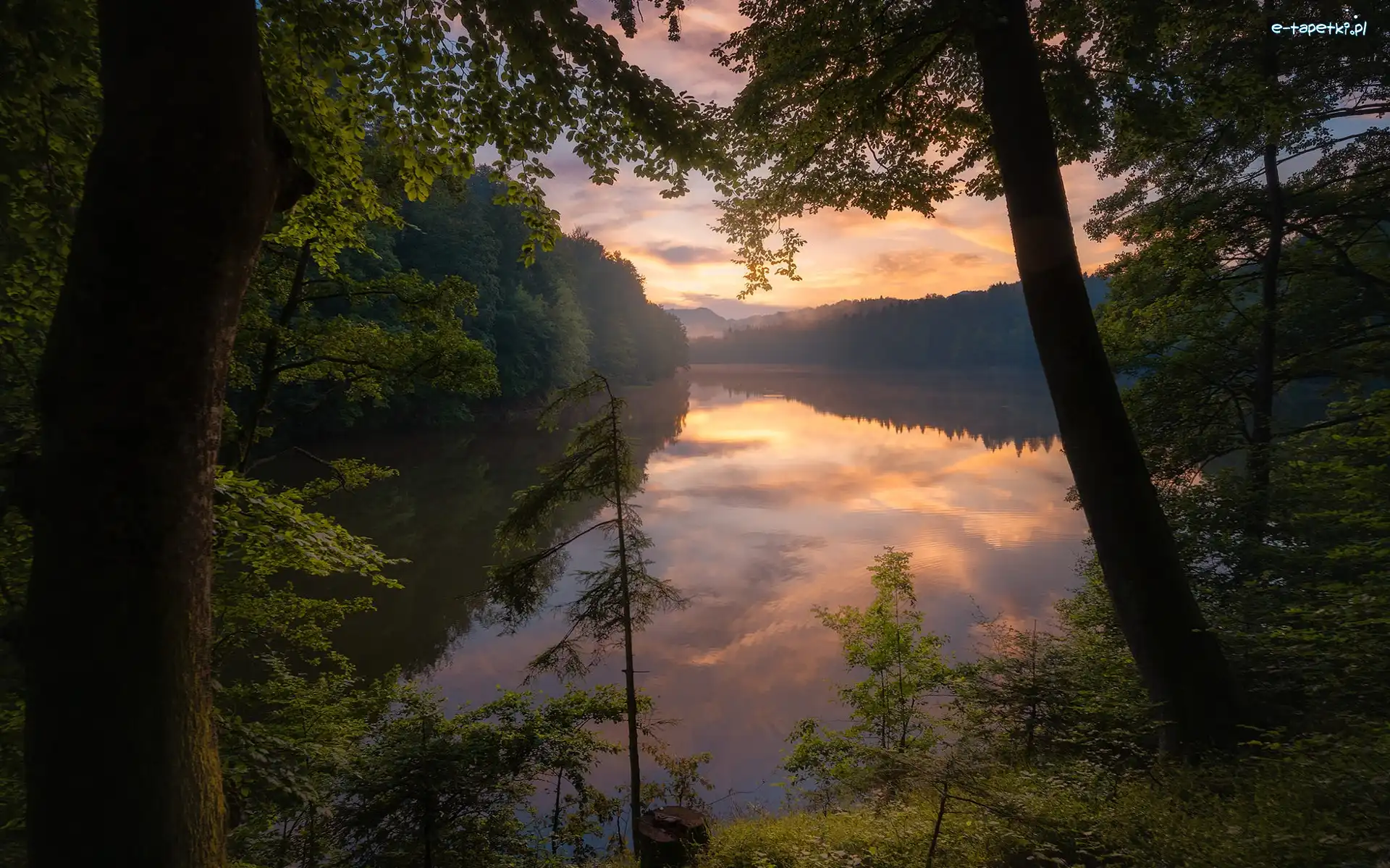 Las, Zachód słońca, Drzewa, Jezioro