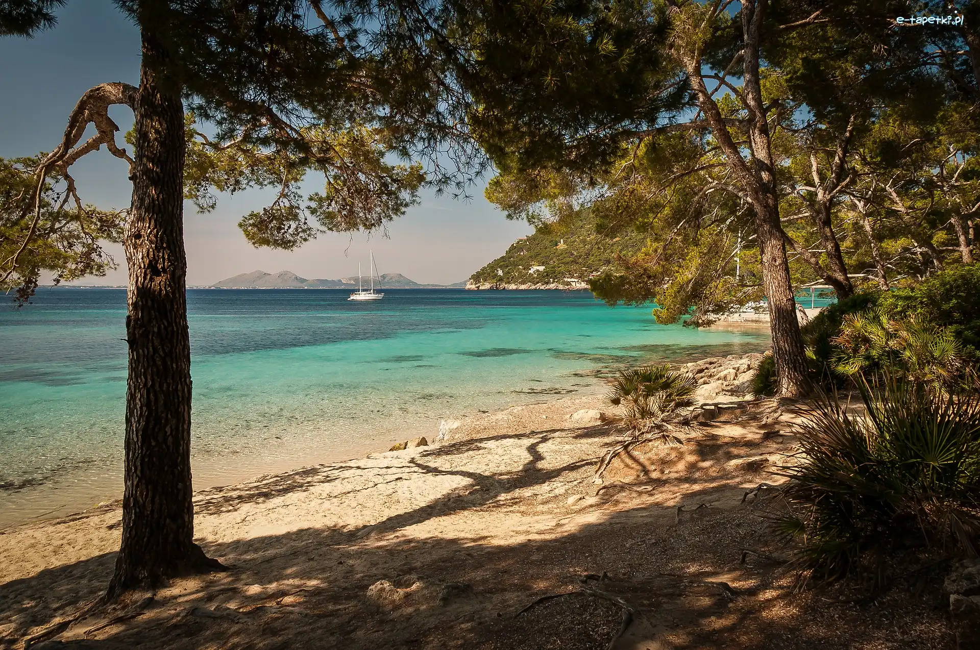 Plaża, Żaglówka, Drzewa, Morze