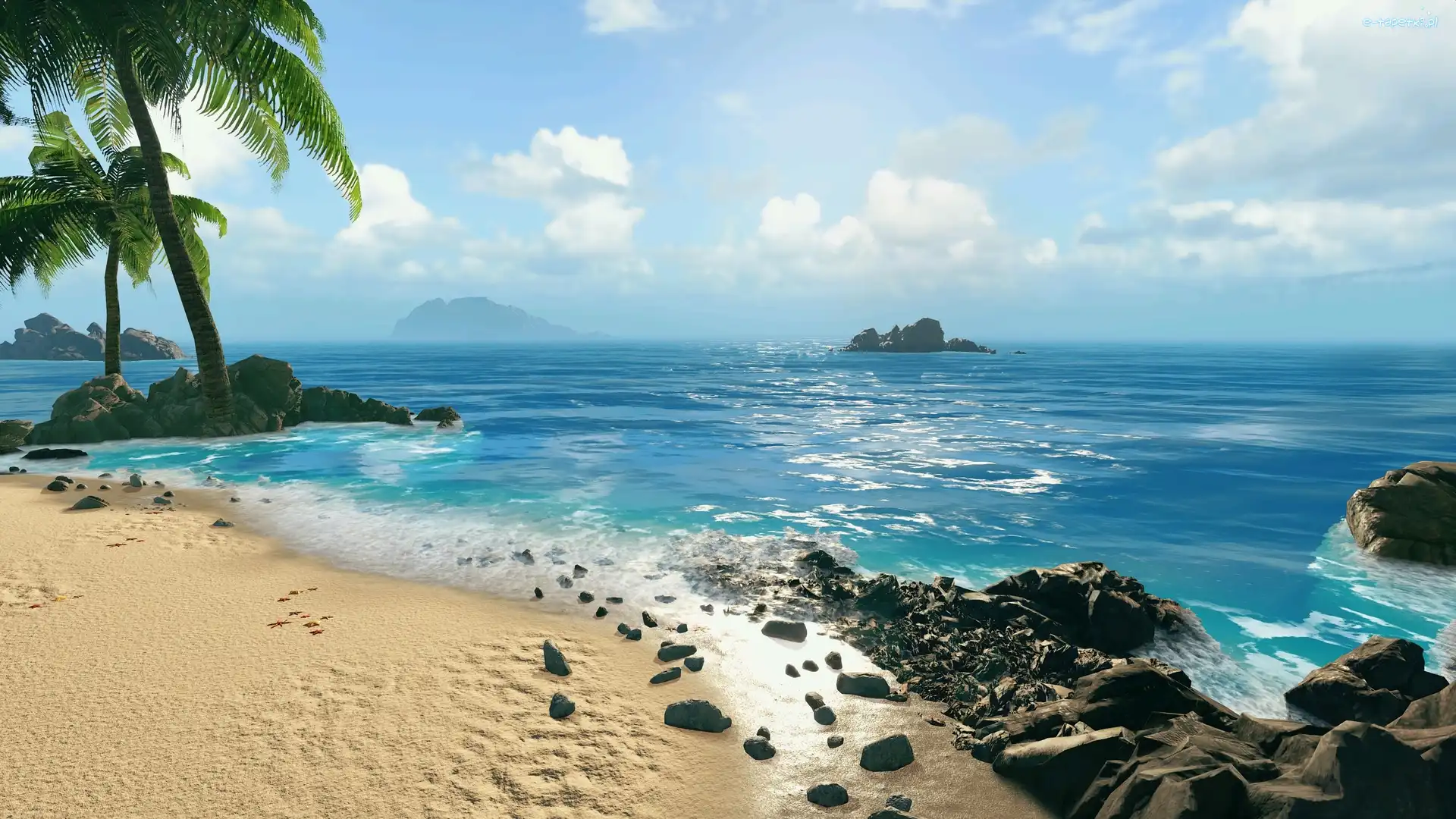 Swords of Legends Online, Palmy, Kamienie, Plaża, Morze, Gra, Skały