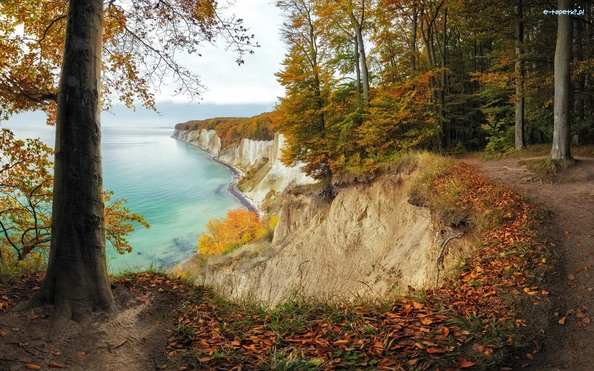Morze, Drzewa, Ścieżka, Klif, Las, Jesień