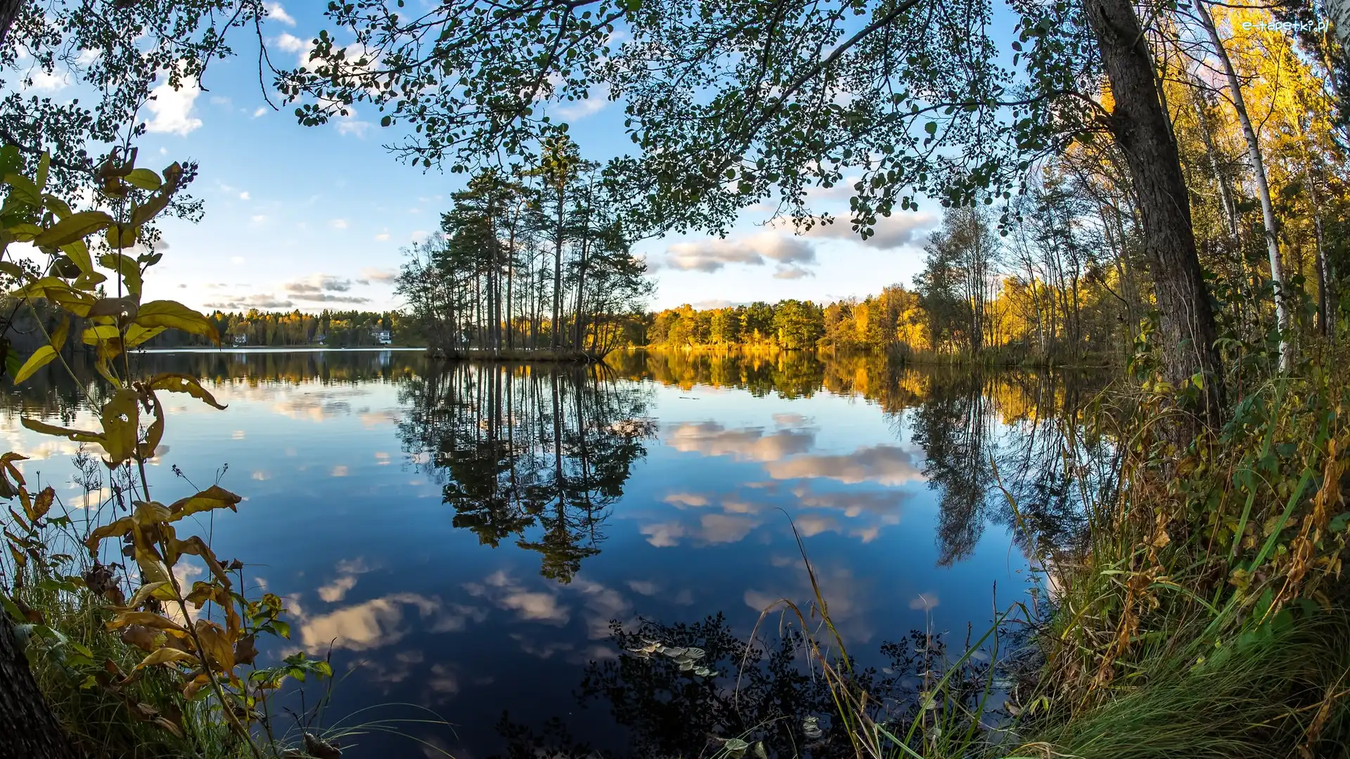 Jesień, Drzewa, Jezioro, Rośliny, Gałęzie