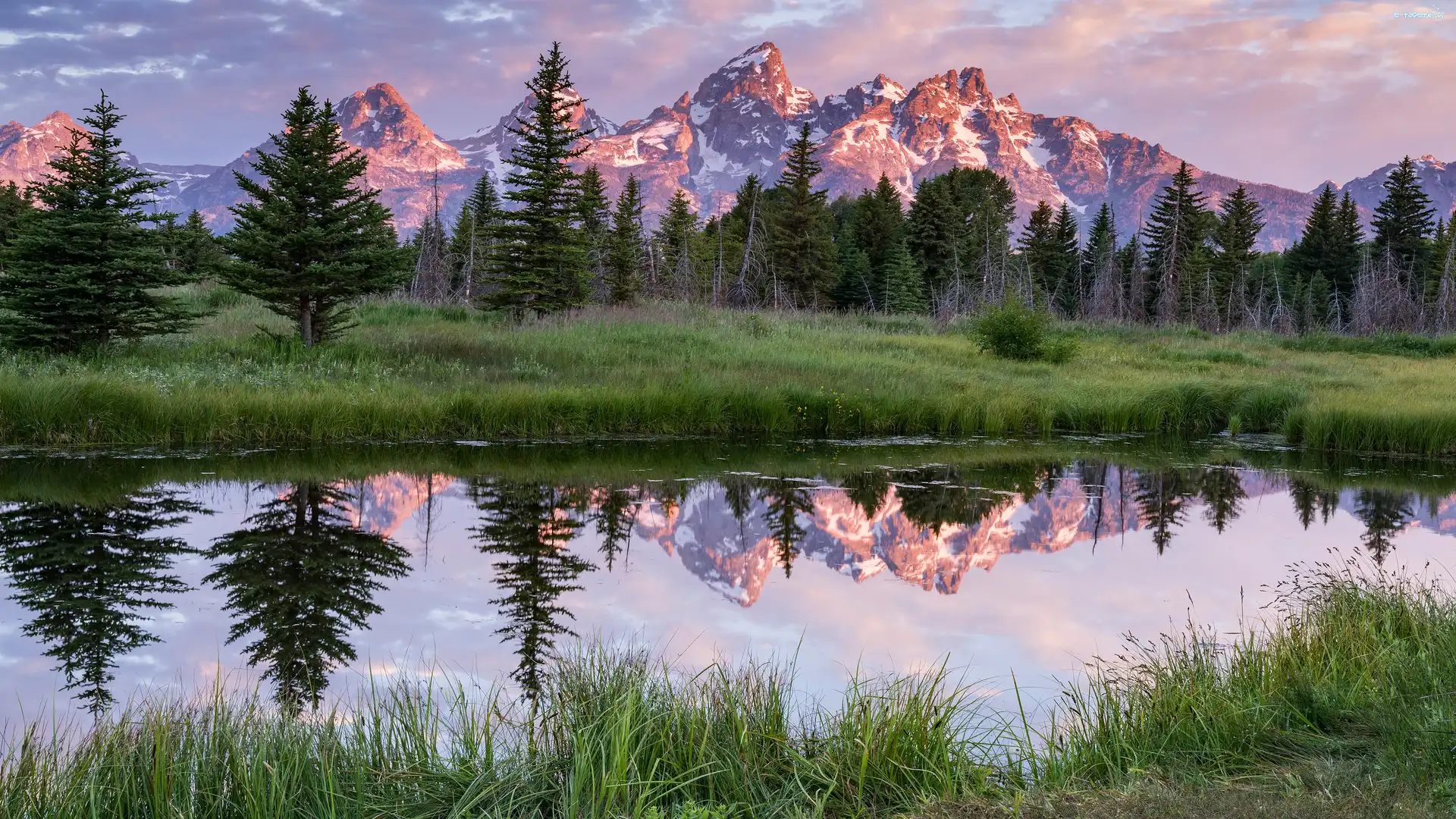 Trawa, Drzewa, Lato, Teton Range, Stany Zjednoczone, Rzeka, Odbicie, Stan Wyoming, Snake River, Góry, Park Narodowy Grand Teton