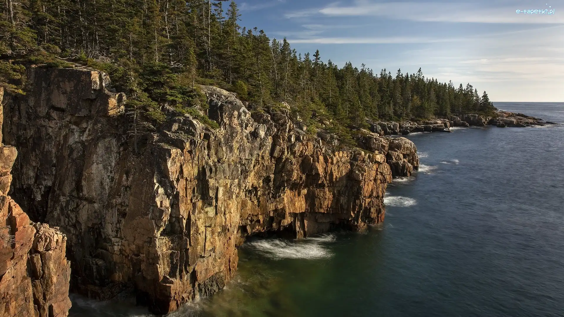 Las, Drzewa, Klif, Skały, Morze, Stany Zjednoczone, Maine, Ravens Nest, Park Narodowy Acadia