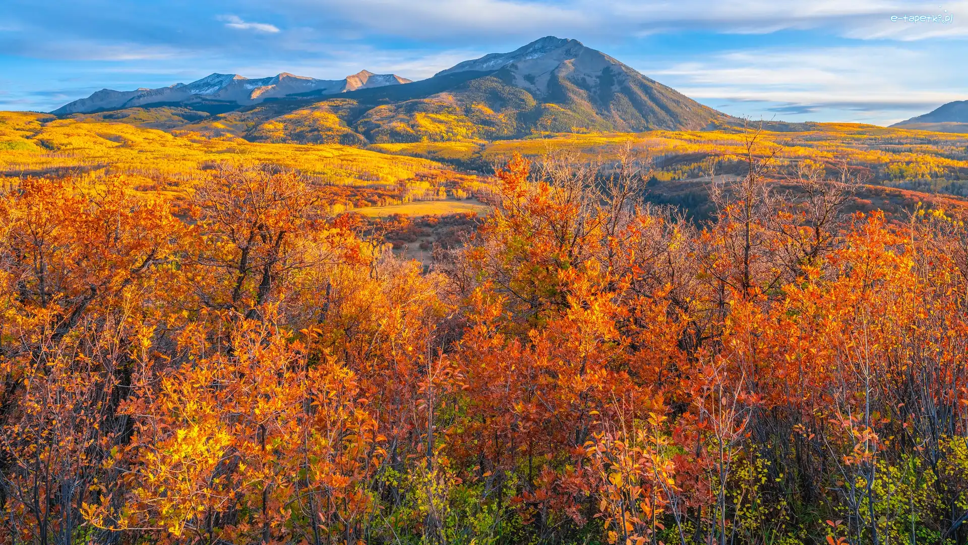 Kebler Pass, Kolorado, Drzewa, Jesień, Góry, Rezerwat, Gunnison, Stany Zjednoczone