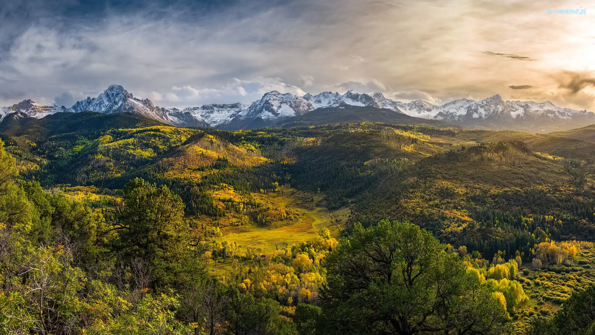 Lasy, Góry, San Juan Mountains, Drzewa, Kolorado, Stany Zjednoczone
