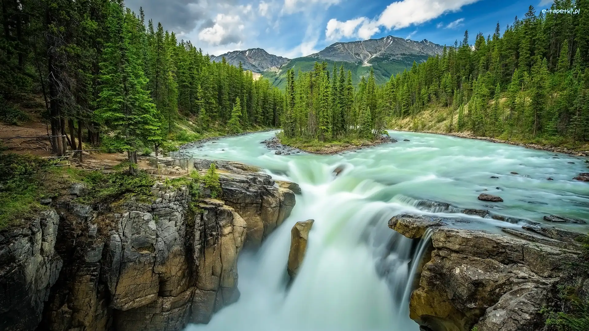 Sunwapta, Rzeka, Wodospad, Skały, Drzewa, Kanada, Alberta, Sunwapta Falls, Park Narodowy Jasper