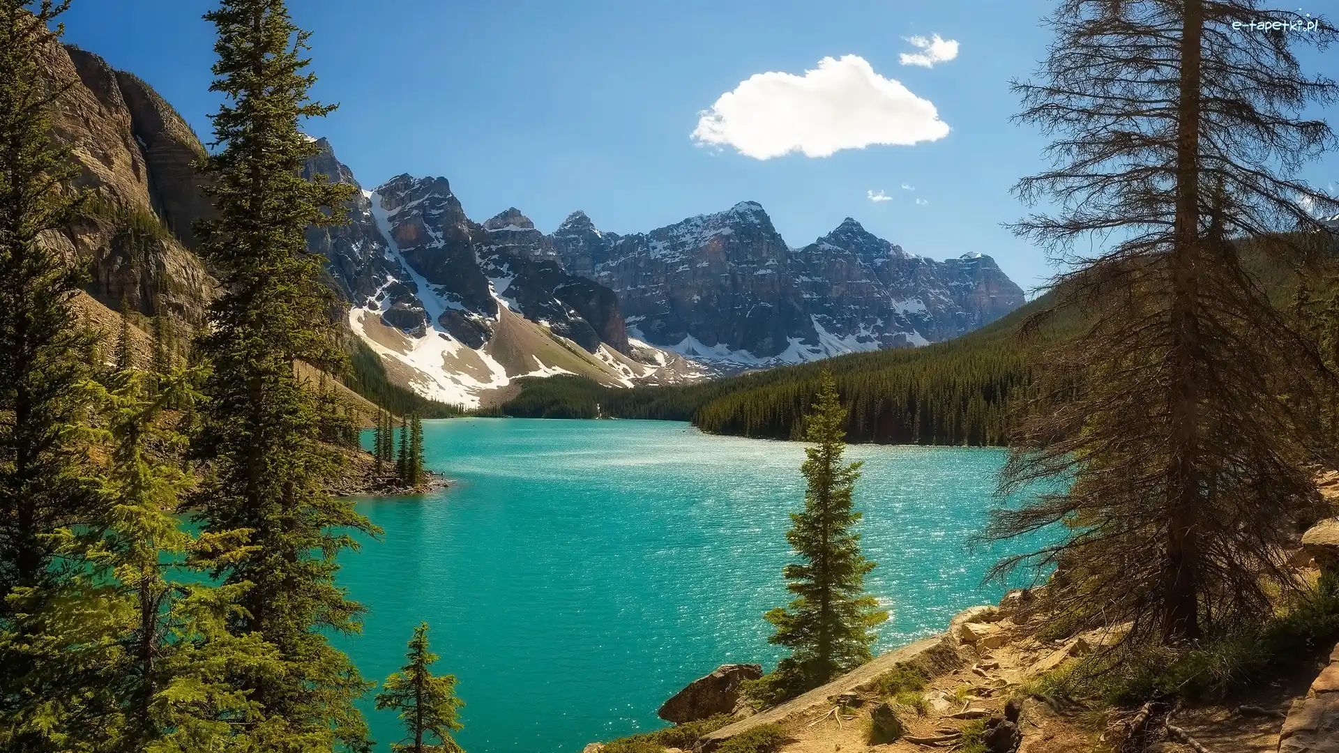 Kanada, Jezioro, Moraine Lake, Drzewa, Góry, Alberta, Park Narodowy Banff