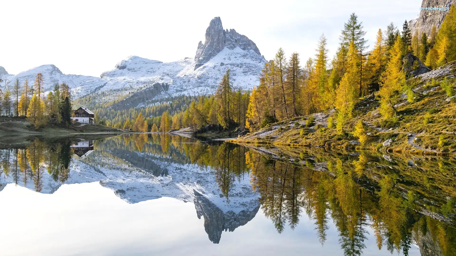 Las, Lago Federa, Dolomity, Góry, Jesień, Włochy, Cortina dAmpezzo, Jezioro, Drzewa