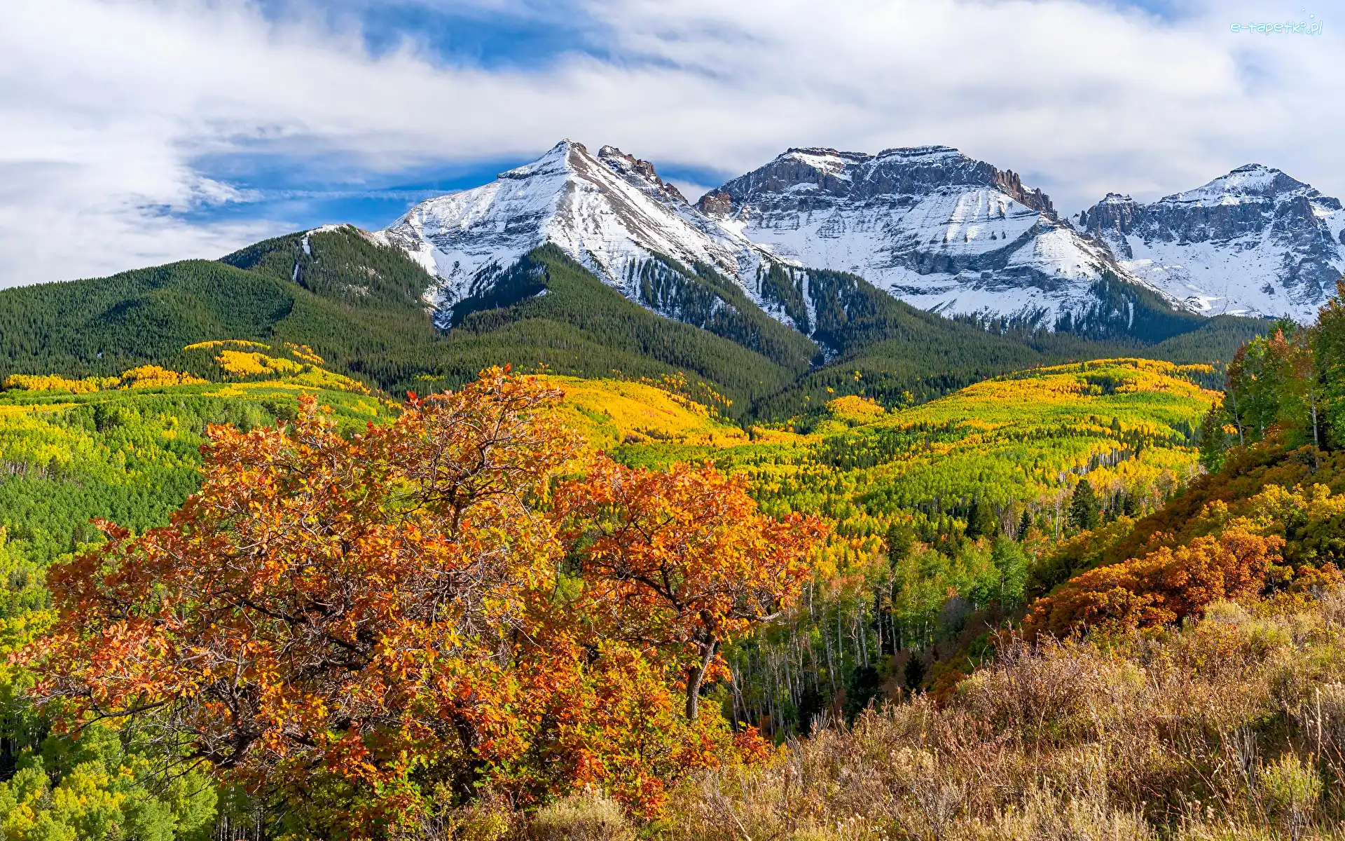 Kolorowe, San Juan Mountains, Stany Zjednoczone, Kolorado, Drzewa, Jesień, Wzgórza, Góry