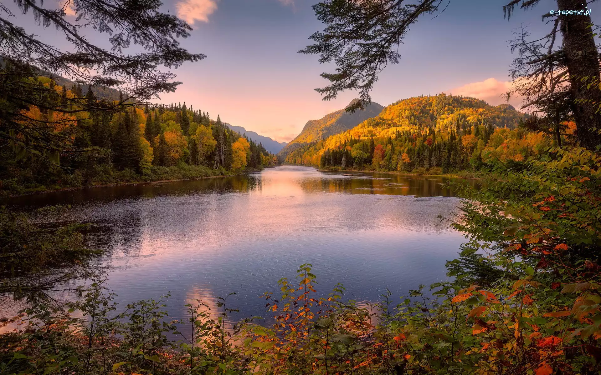Krzewy, Góry, Jezioro, Kanada, Quebec, Drzewa, Jesień
