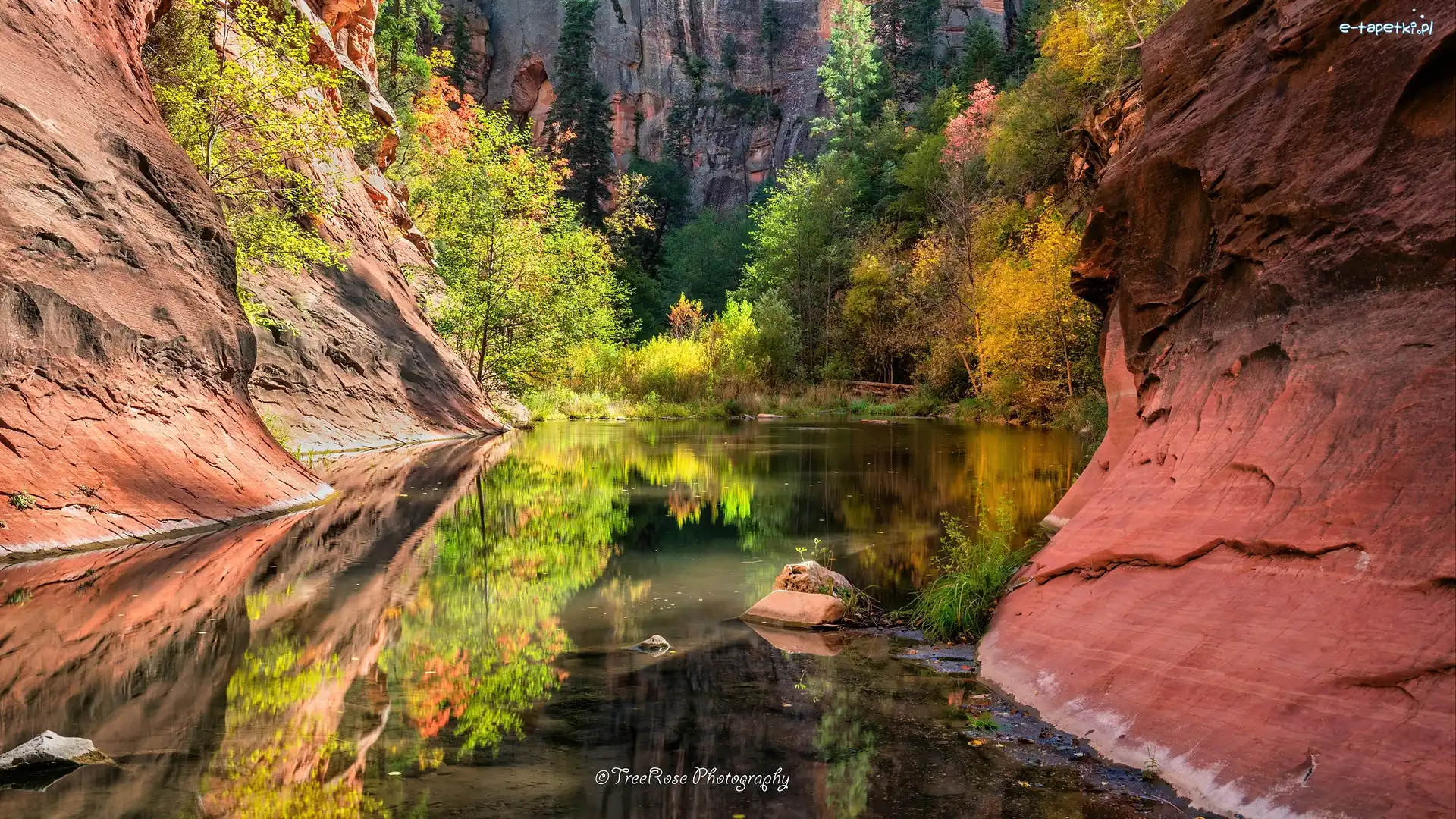 Skały, Arizona, Odbicie, Drzewa, Sedona, Wąwóz, Rzeka, Stany Zjednoczone