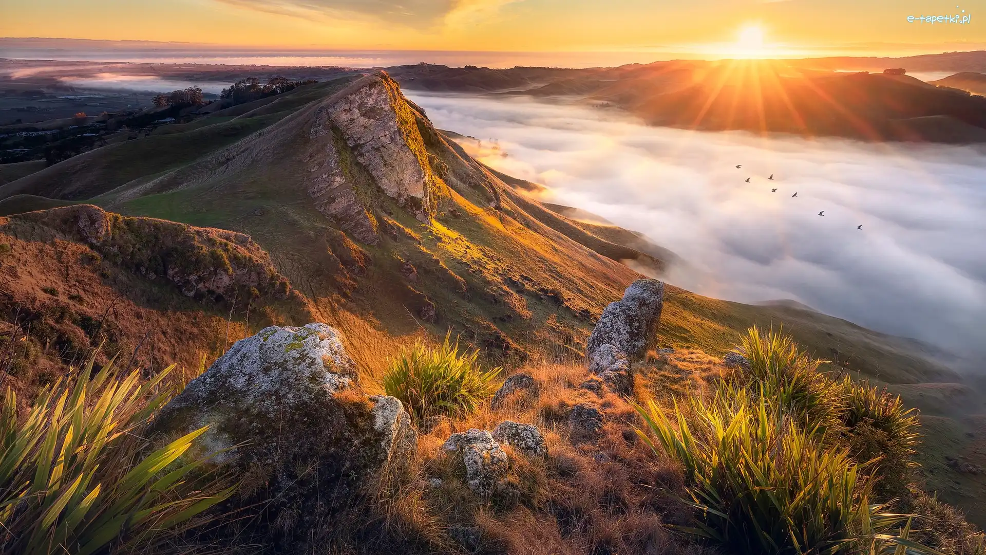 Góry Te Mata Peak, Region Hawkes Bay, Mgła, Dolina, Rzeka Tukituki River, Wzgórza, Wschód słońca, Nowa Zelandia