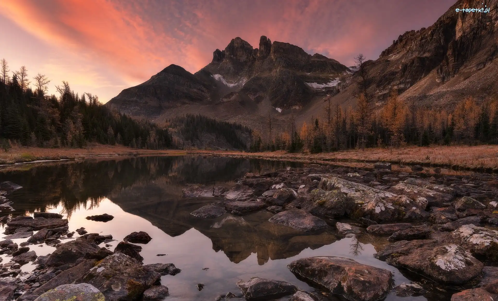 Kamienie, Jezioro, Kanada, Kolumbia Brytyjska, Gog Lake, Drzewa, Park prowincjonalny Mount Assiniboine, Góry