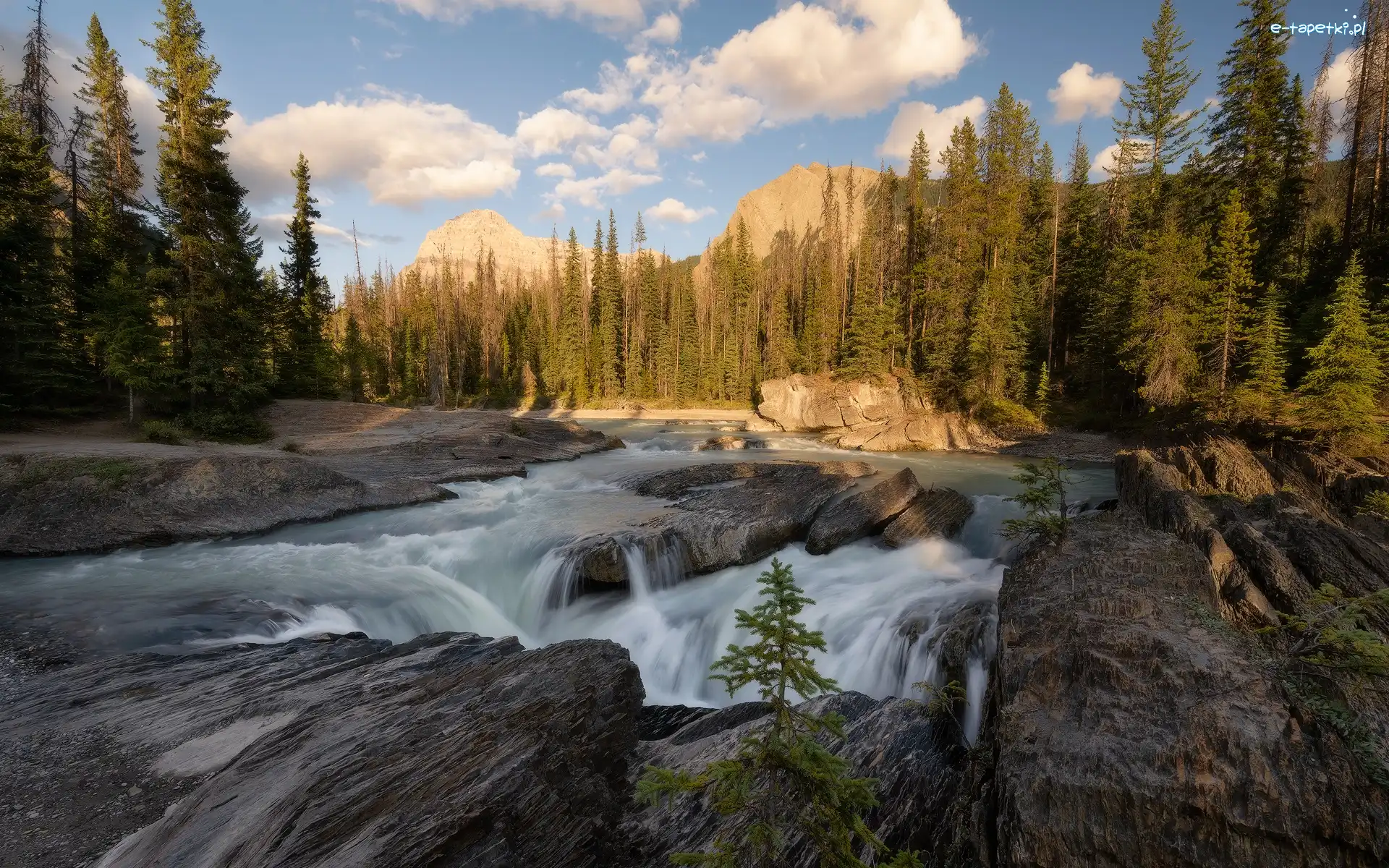 Skały, Drzewa, Kicking Horse River, Rzeka, Park Narodowy Yoho, Kanada, Kolumbia Brytyjska, Góry Skaliste, Chmury