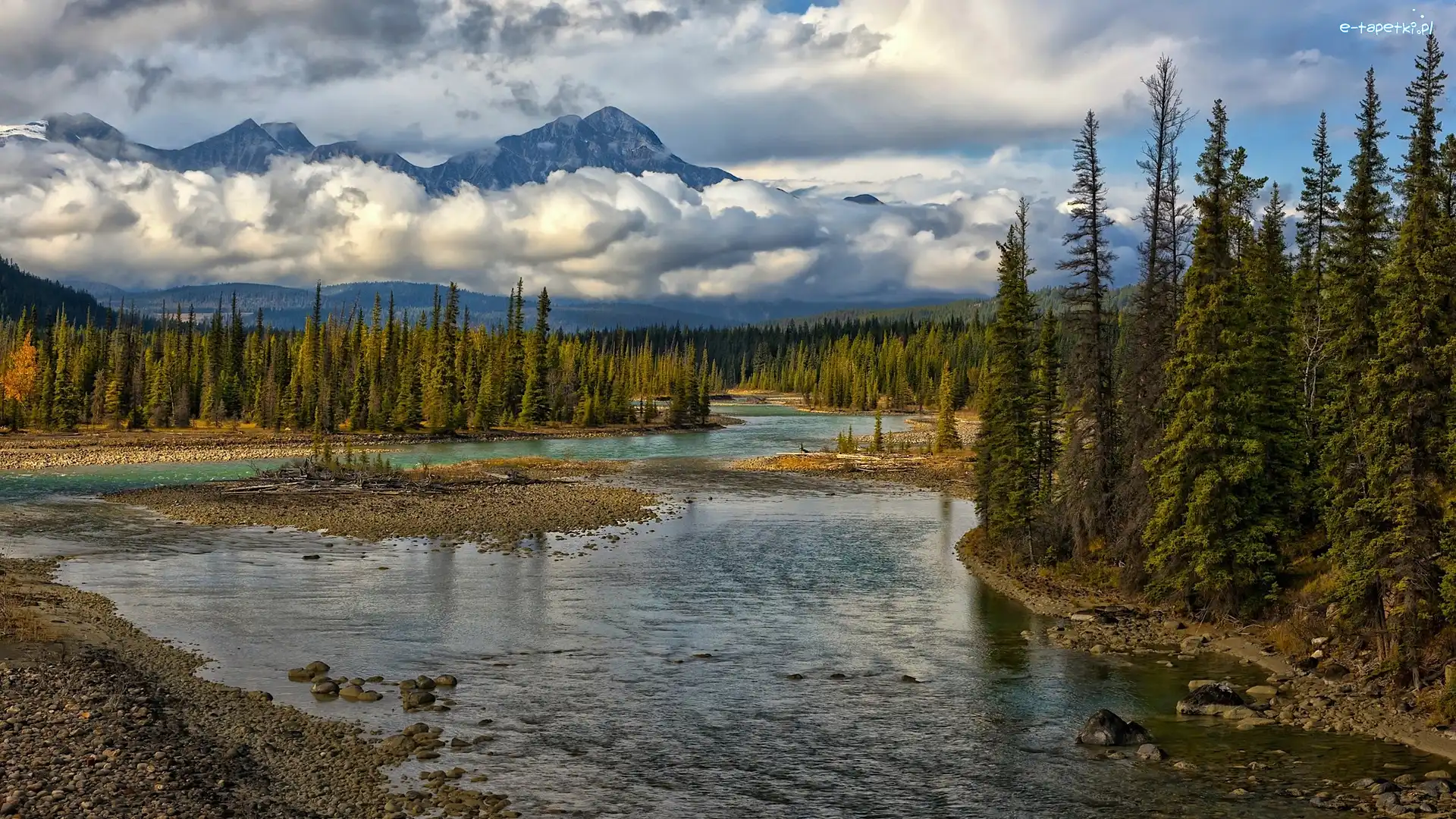 Kanada, Drzewa, Las, Góry, Park Narodowy Jasper, Prowincja Alberta, Rzeka Athabasca