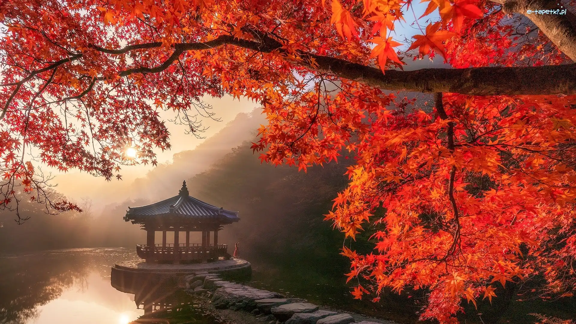 Pawilon Ukimido, Jesień, Promienie słońca, Sagiike, Japonia, Gałęzie, Altana, Nara, Klon, Staw, Nara Park