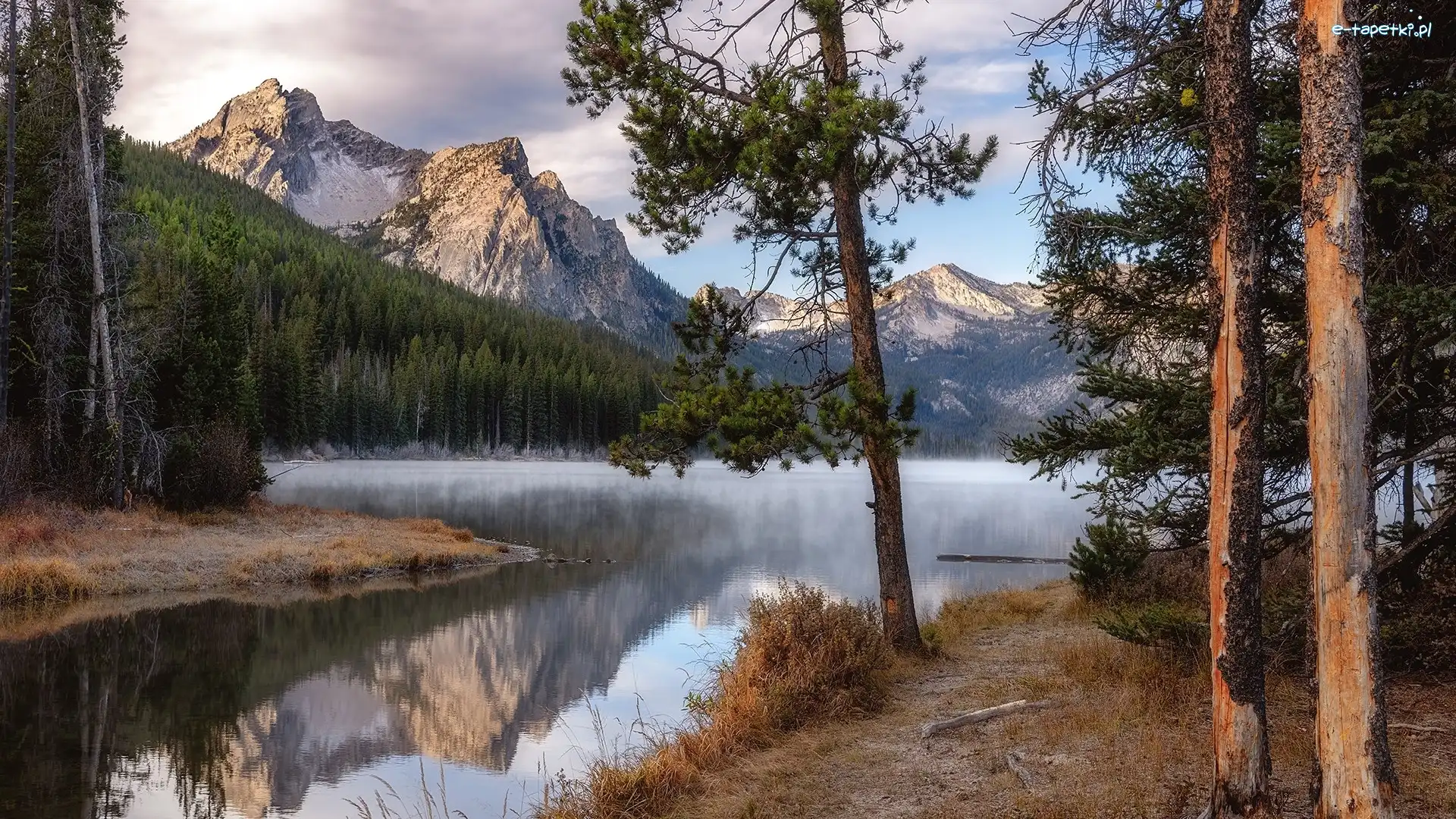 Stanley Lake, Sawtooth Range, Stany Zjednoczone, Idaho, Jezioro, Drzewa, Sosny, Góry