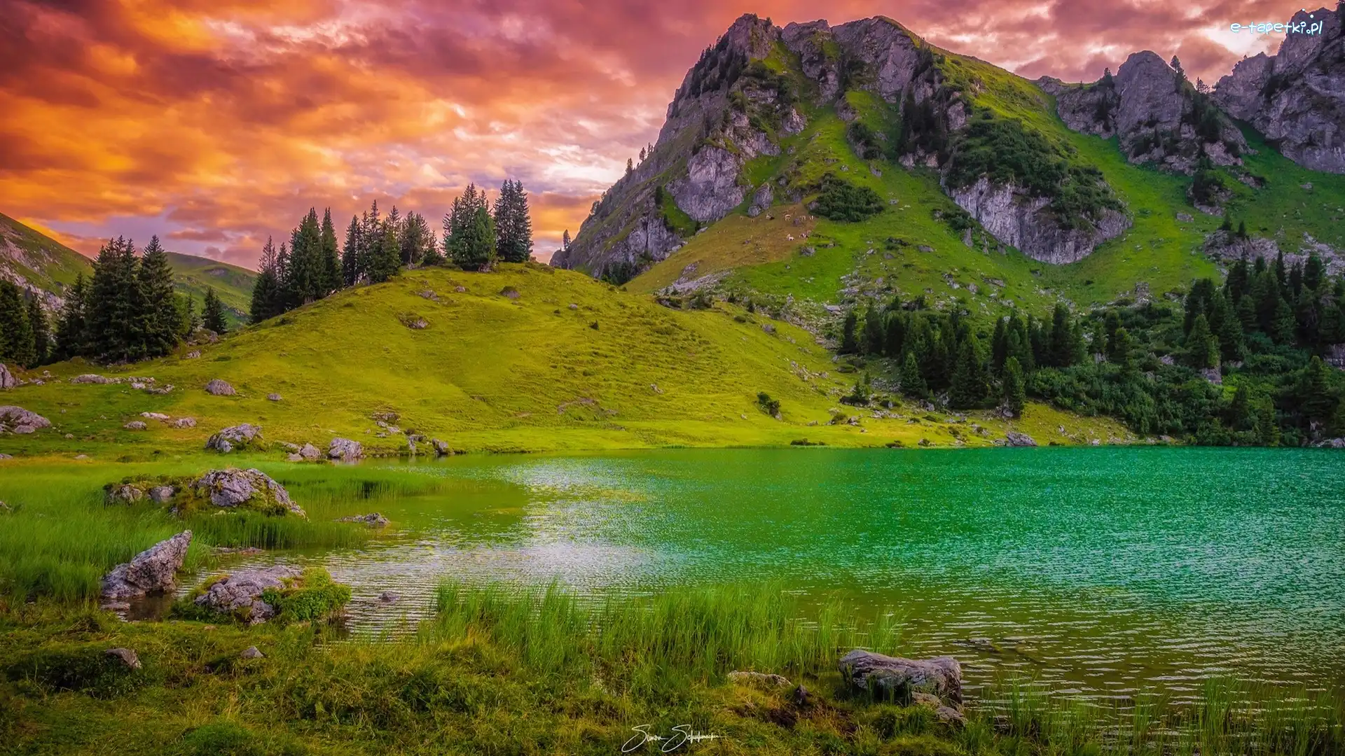 Drzewa, Alpy, Jezioro Bergsee, Skały, Góry, Szwajcaria