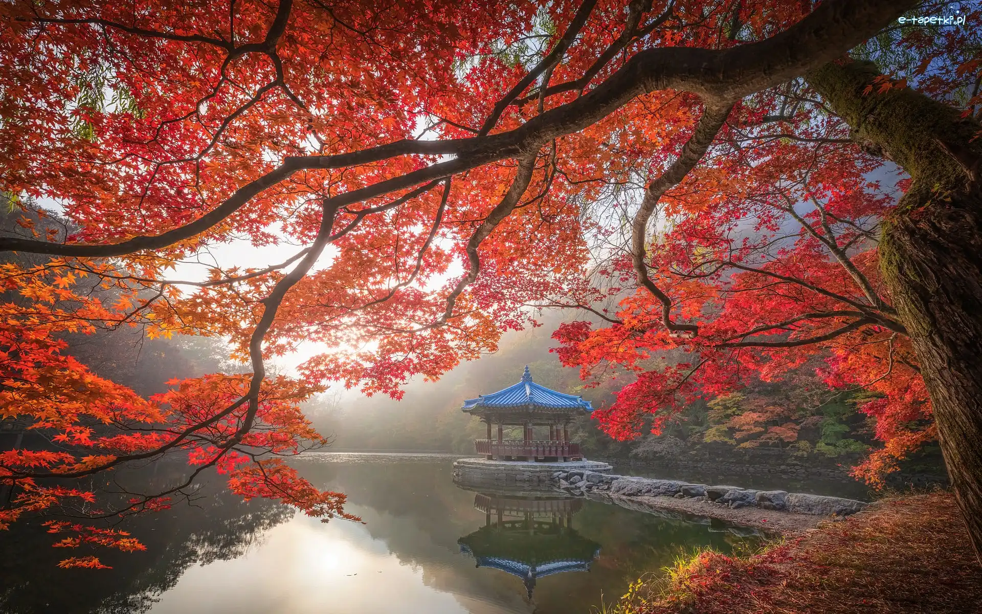 Nara Park, Staw, Japonia, Pawilon Ukimido, Gałęzie, Klon, Altana, Jesień, Sagiike, Nara