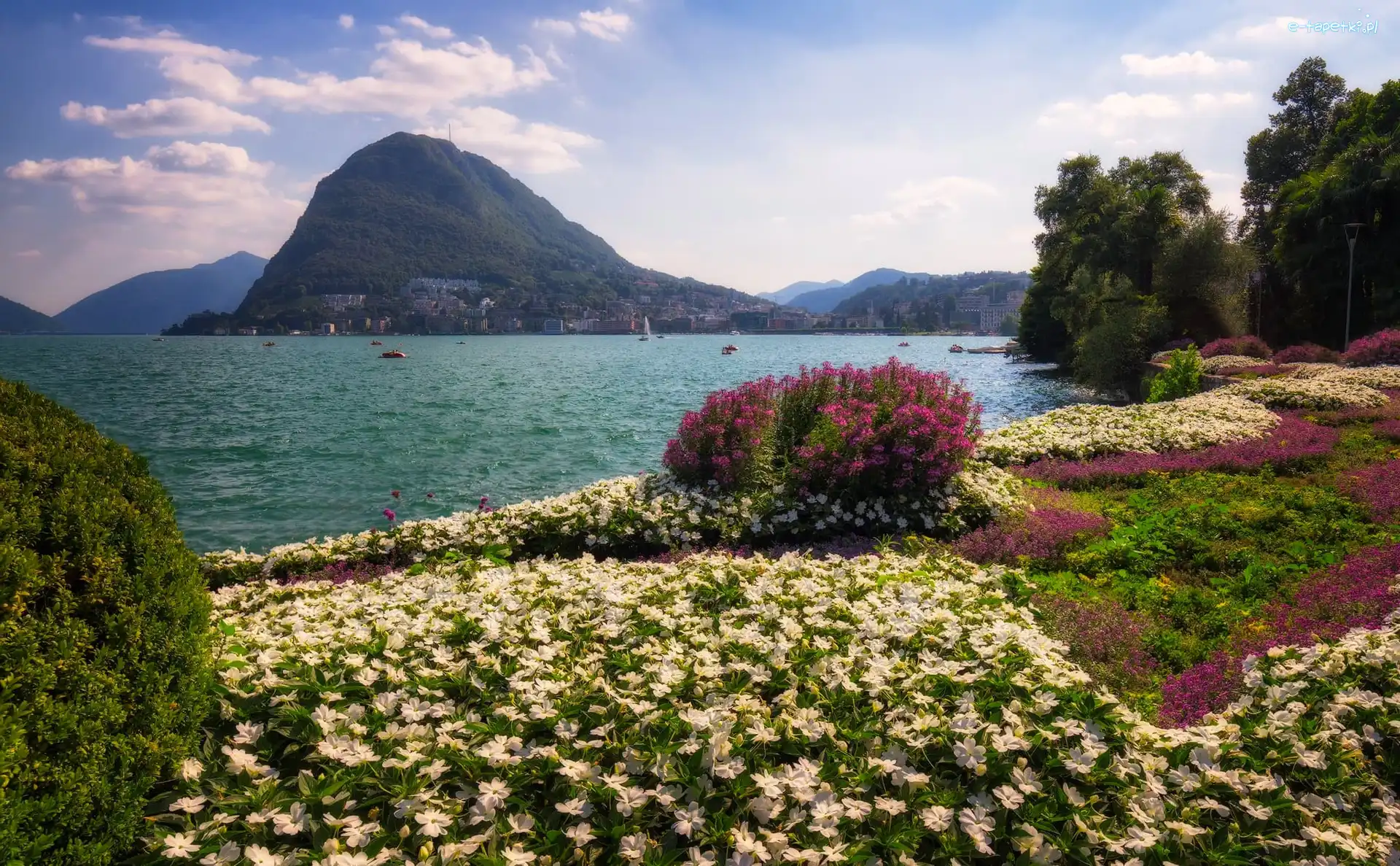 Parco Ciani, Góry, Alpy, Szwajcaria, Jezioro Lugano, Kwiaty