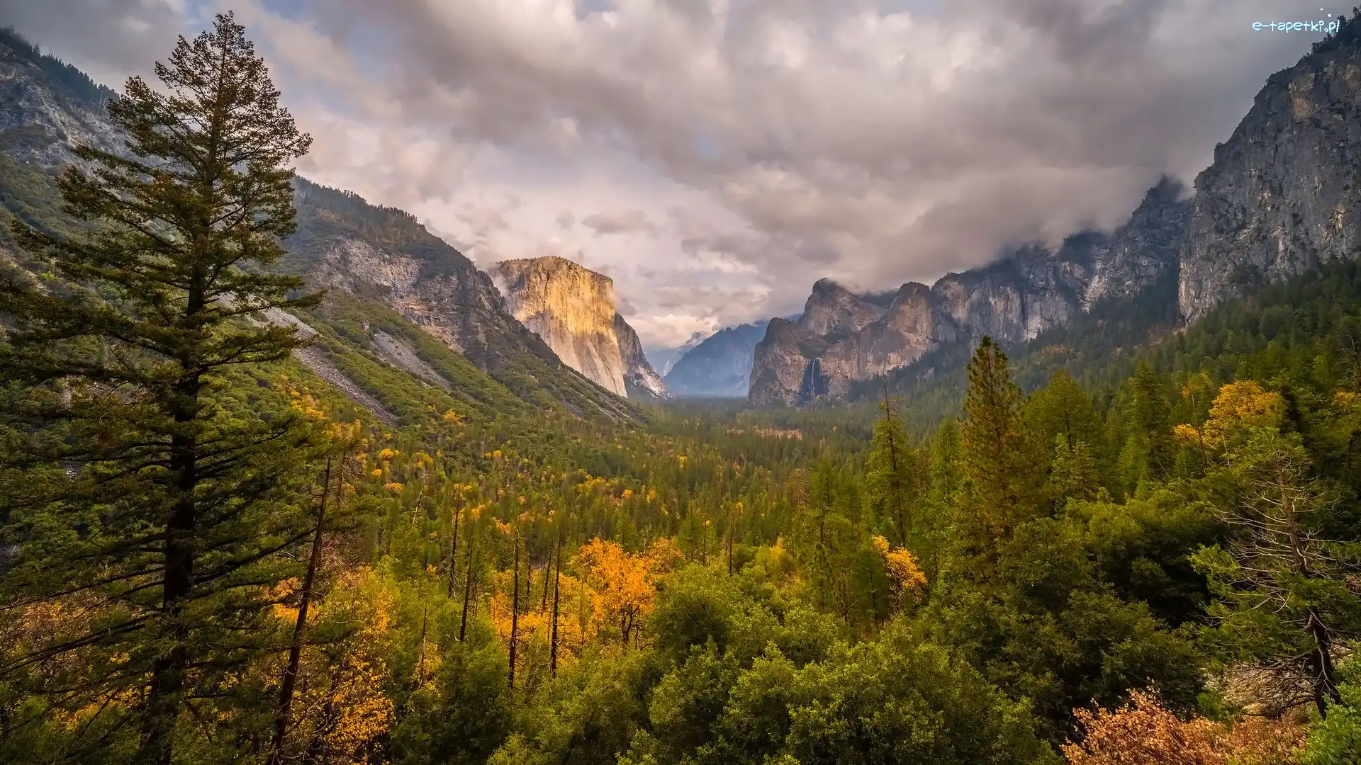 Kalifornia, Chmury, Park Narodowy Yosemite, Stany Zjednoczone, Góry, Drzewa