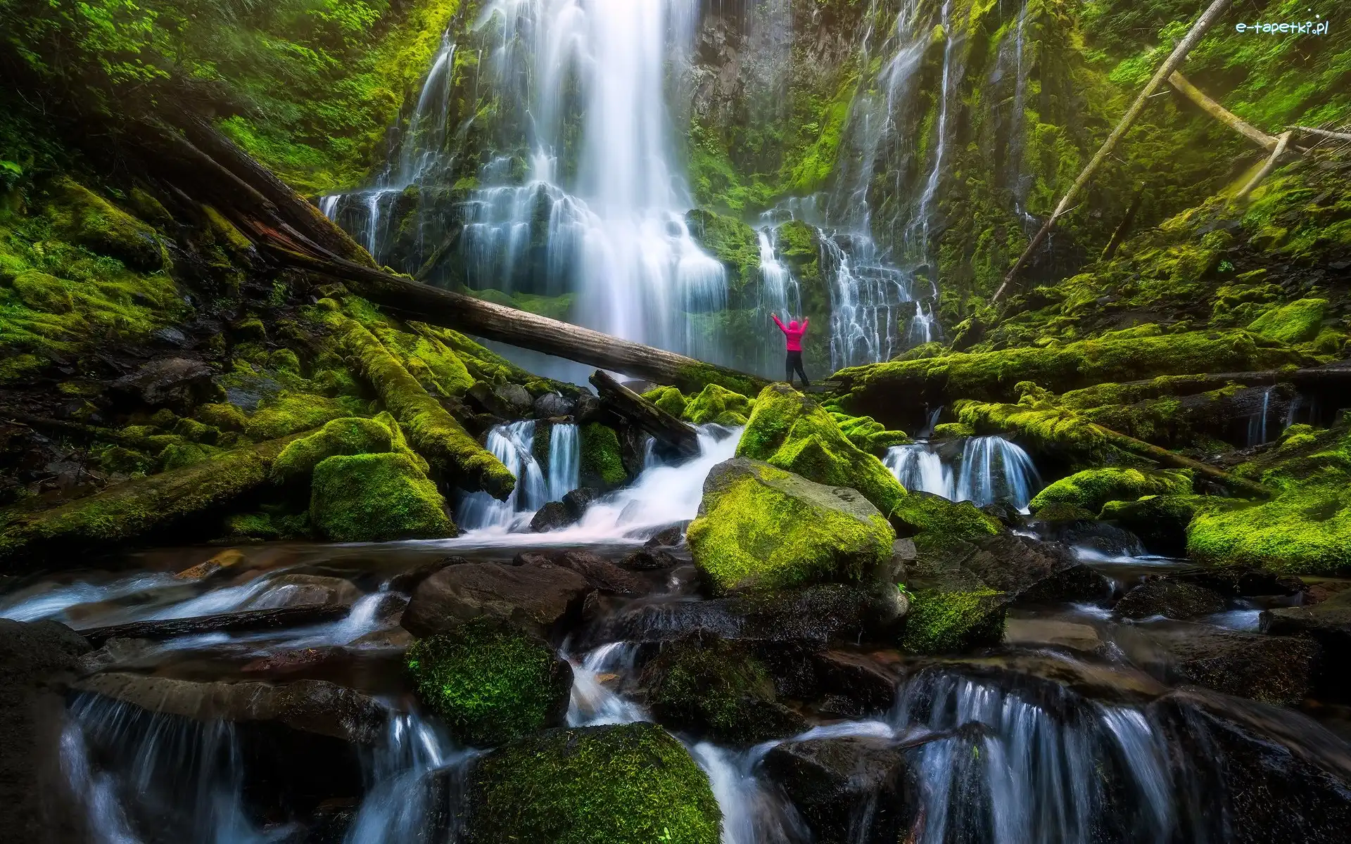 Proxy Falls, Stan Oregon, Człowiek, Konary, Wodospad, Omszałe, Kamienie, Stany Zjednoczone