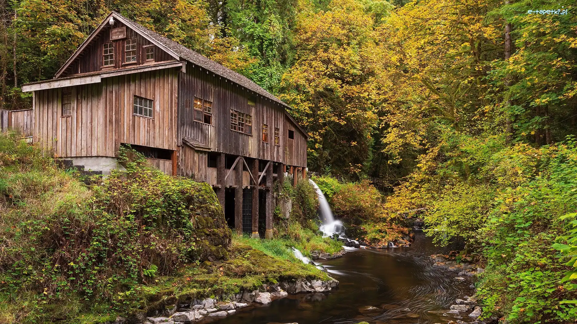 Woodland, Rzeka, Drzewa, Stany Zjednoczone, Cedar Creek Grist Mill, Młyn