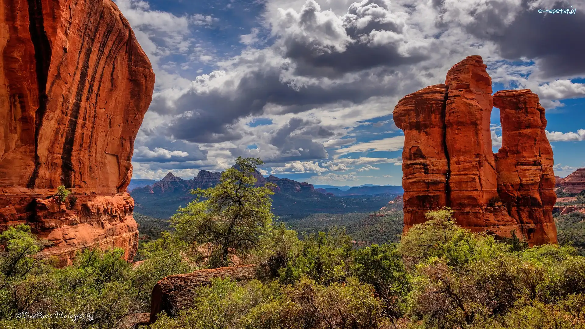 Formacje skalne, Sedona, Skały, Drzewa, Arizona, Stany Zjednoczone
