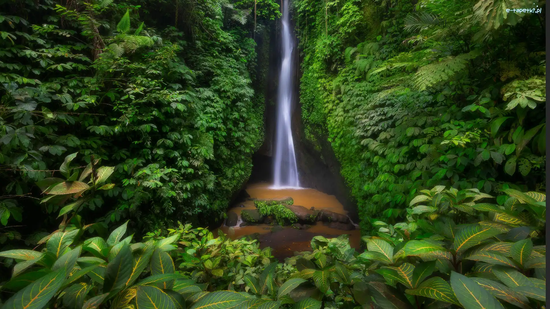 Drzewa, Leke Leke Waterfall, Indonezja, Bali, Las, Liście, Rośliny, Wodospad