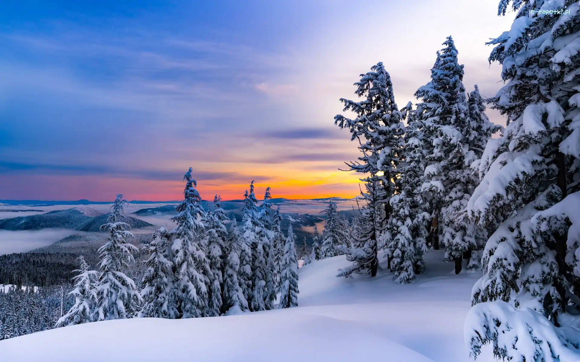 Śnieg, Drzewa, Zaspy, Zachód słońca, Las, Zima