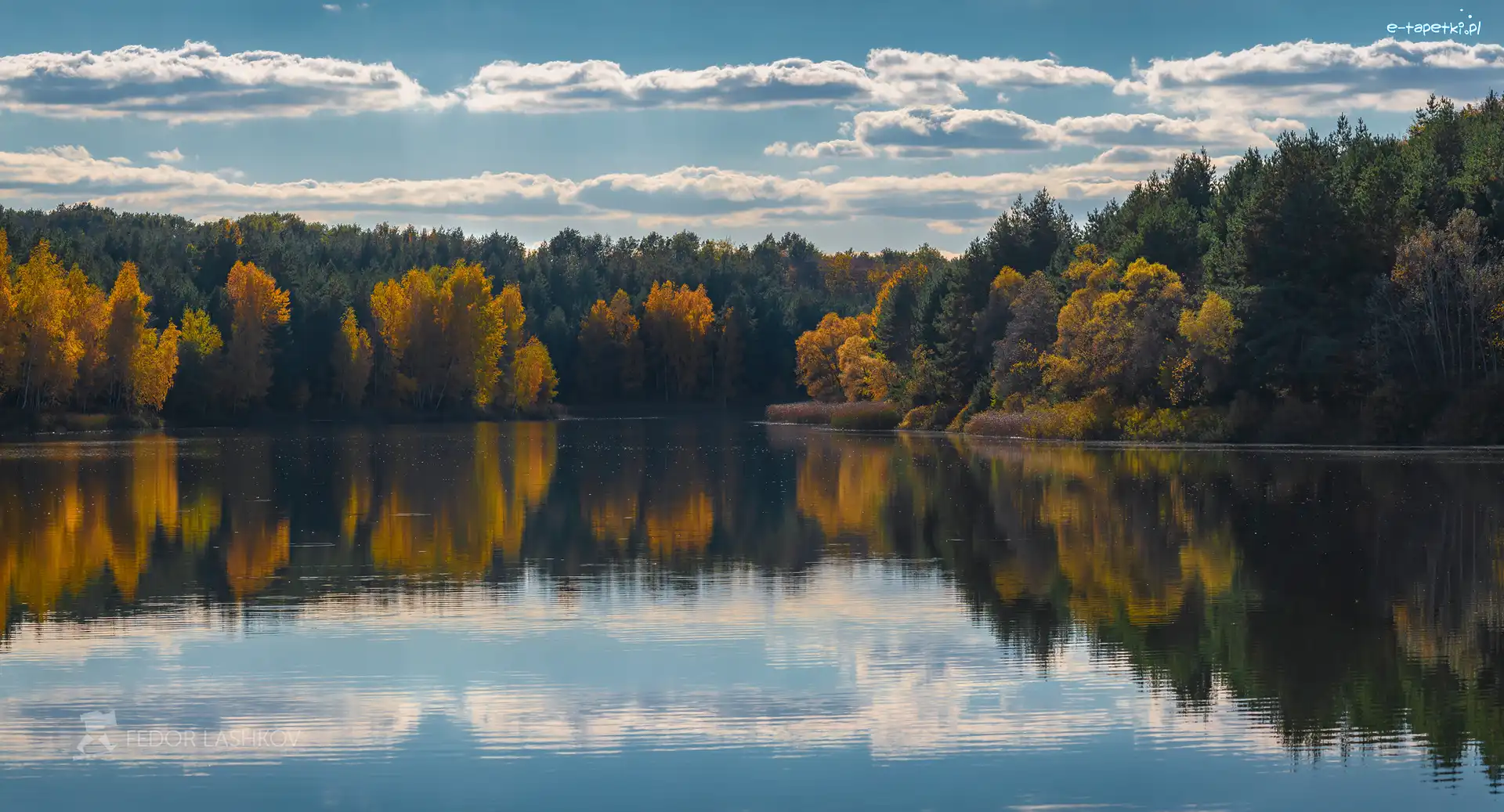 Jezioro, Las, Drzewa, Chmury, Jesień