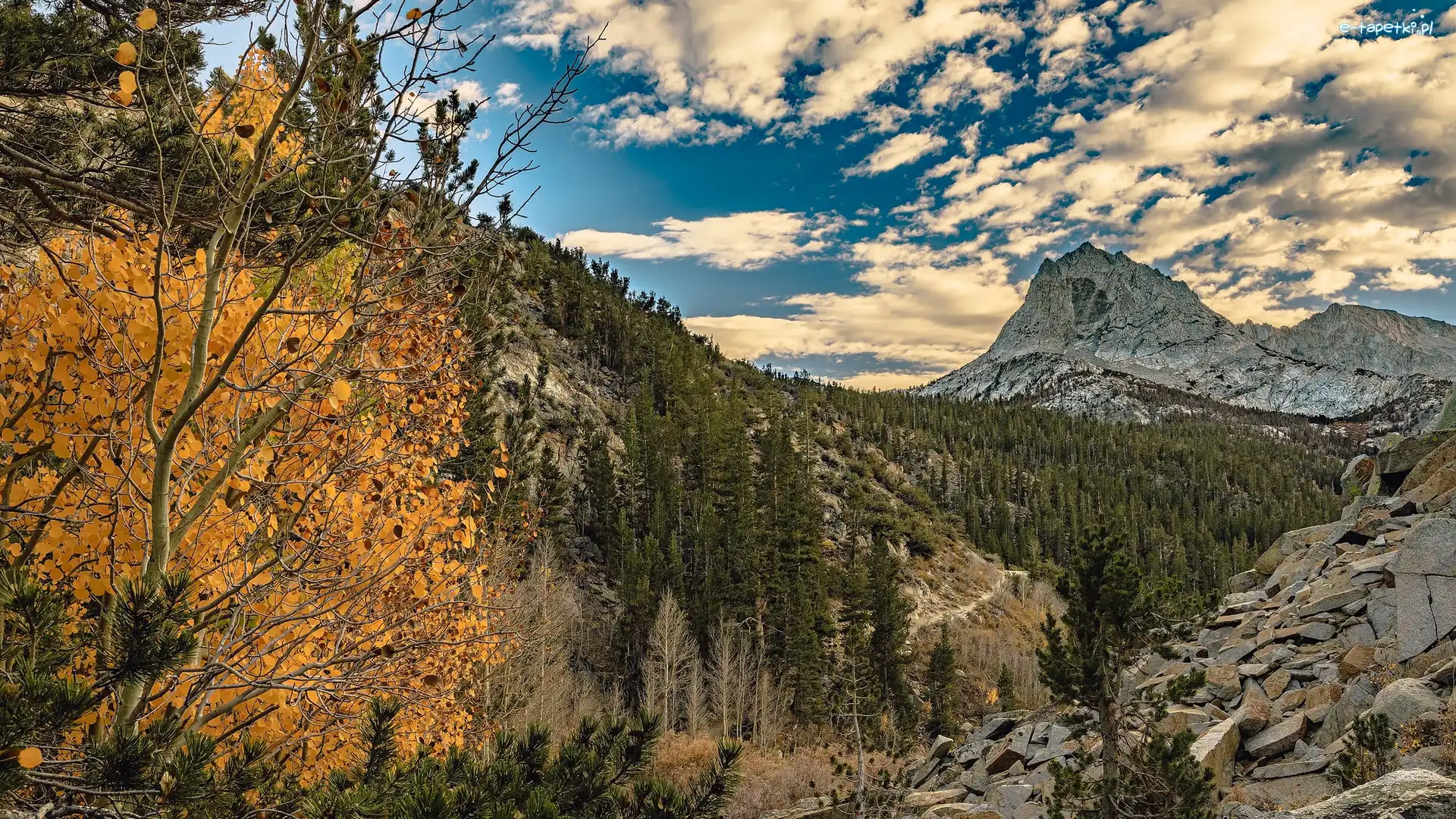Stany Zjednoczone, Bishop Pass, Skały, Przełęcz, Góry Sierra Nevada, Kalifornia, Drzewa