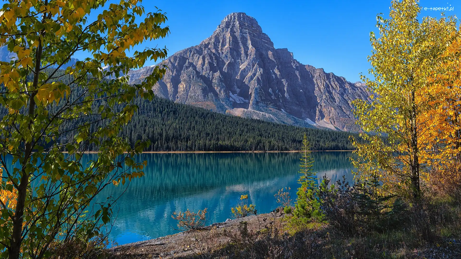 Jezioro, Prowincja Alberta, Drzewa, Mount Chephren, Park Narodowy Banff, Waterfowl Lake, Góra, Kanada