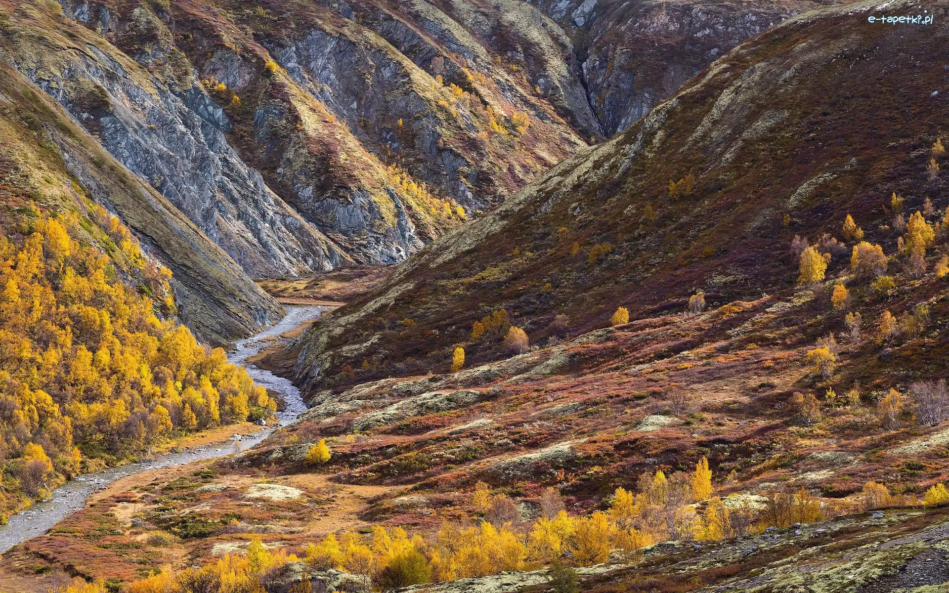 Drzewa, Skały, Park Narodowy Rondane, Góry, Norwegia, Jesień, Rzeka