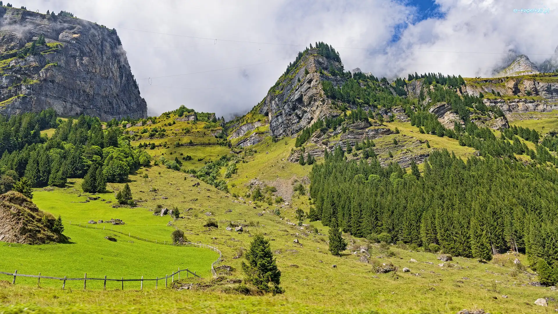 Góry, Ogrodzenie, Szwajcaria, Klausenpass, Drzewa, Mgła, Przełęcz, Pastwisko, Skały, Alpy Glarneńskie