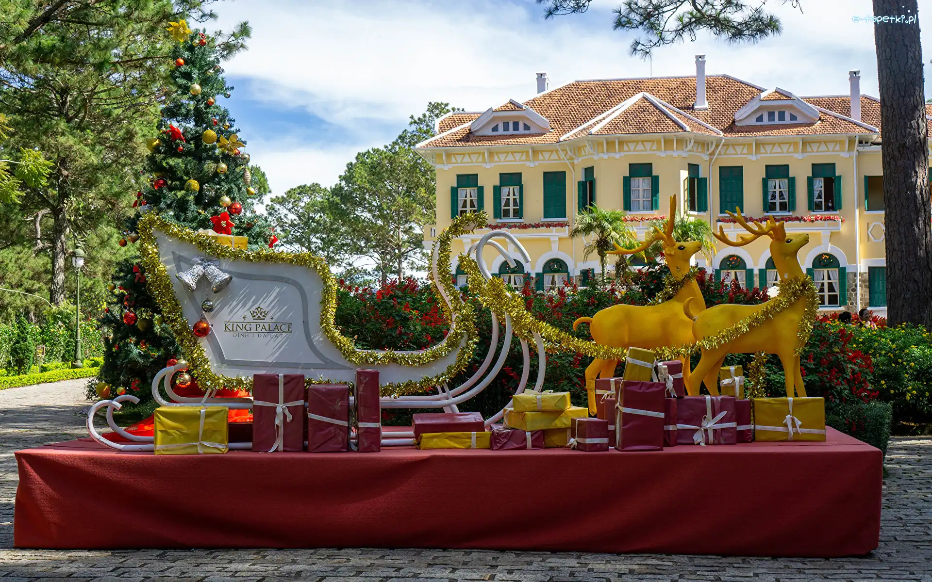 Sanie, Boże Narodzenie, Prowincja Lam Dong, Prezenty, Dom, Hotel, Nowy Rok, Choinka, Zaprzęg, Bao Dai King Palace in Da Lat, Renifery, Wietnam