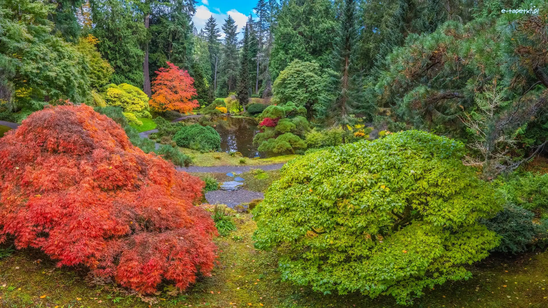 Bloedel Reserve Bainbridge, Waszyngton, Staw, Krzewy, Ogród botaniczny, Jesień, Drzewa, Stany Zjednoczone