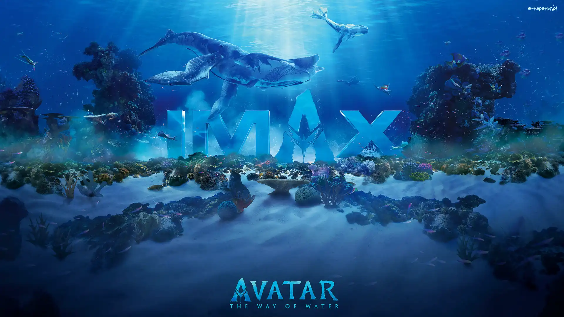 Rośliny, Dno, Avatar The Way of Water, Avatar istota wody, Film, Plakat, Napis, Głębia, Ryby