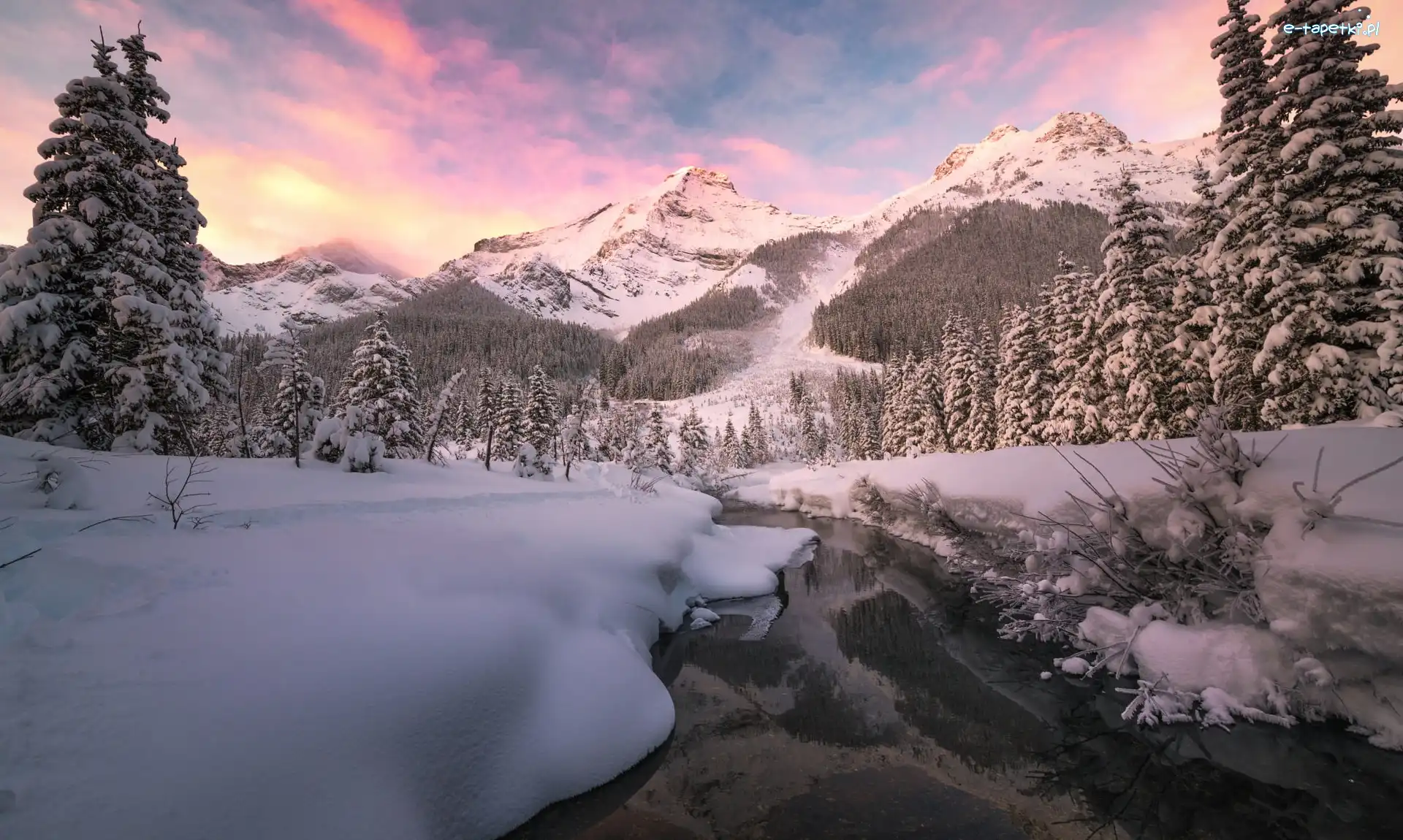 Kanada, Canadian Rockies, Las, Góry, Zima, Drzewa, Ośnieżone