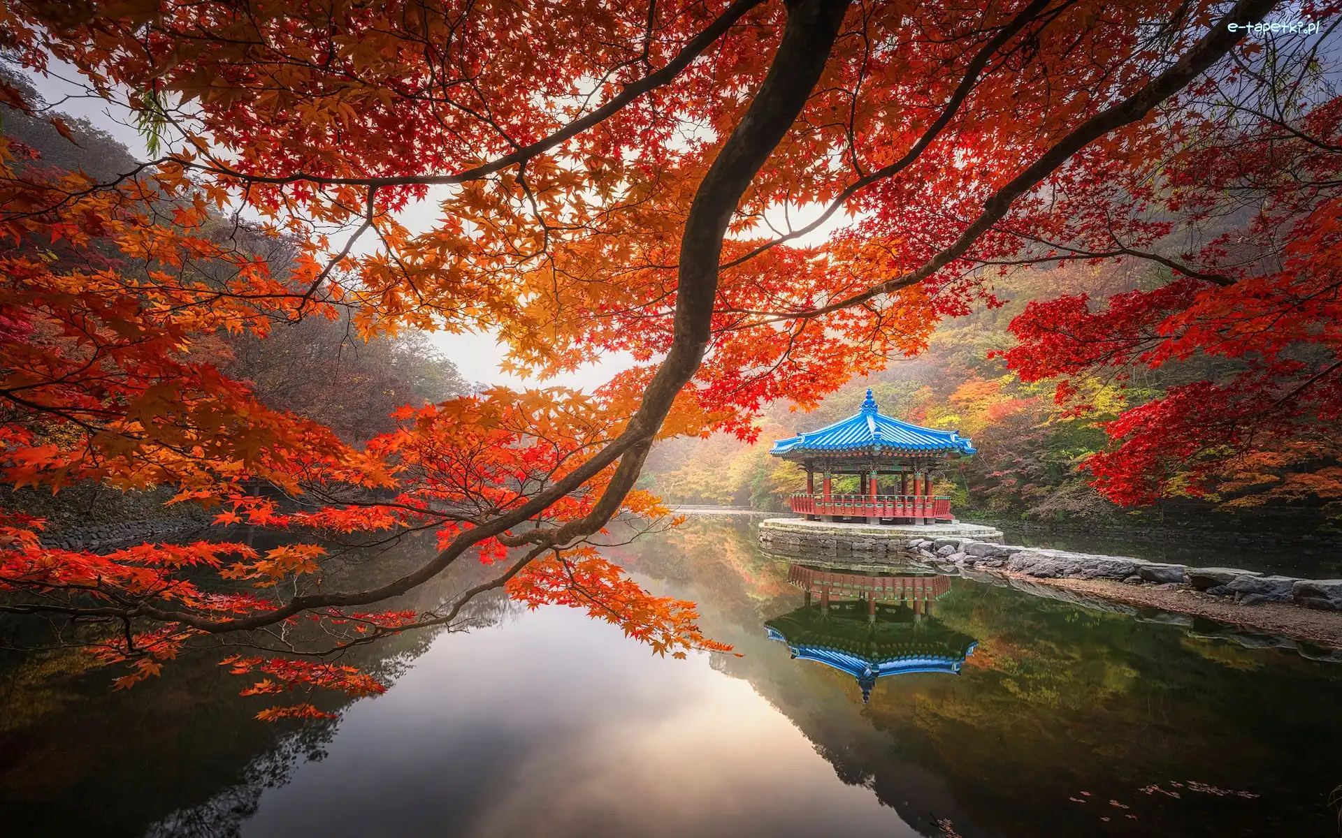 Pawilon Ukimido, Altana, Gałęzie, Staw Sagiike, Jesień, Japonia, Nara, Klon, Nara Park