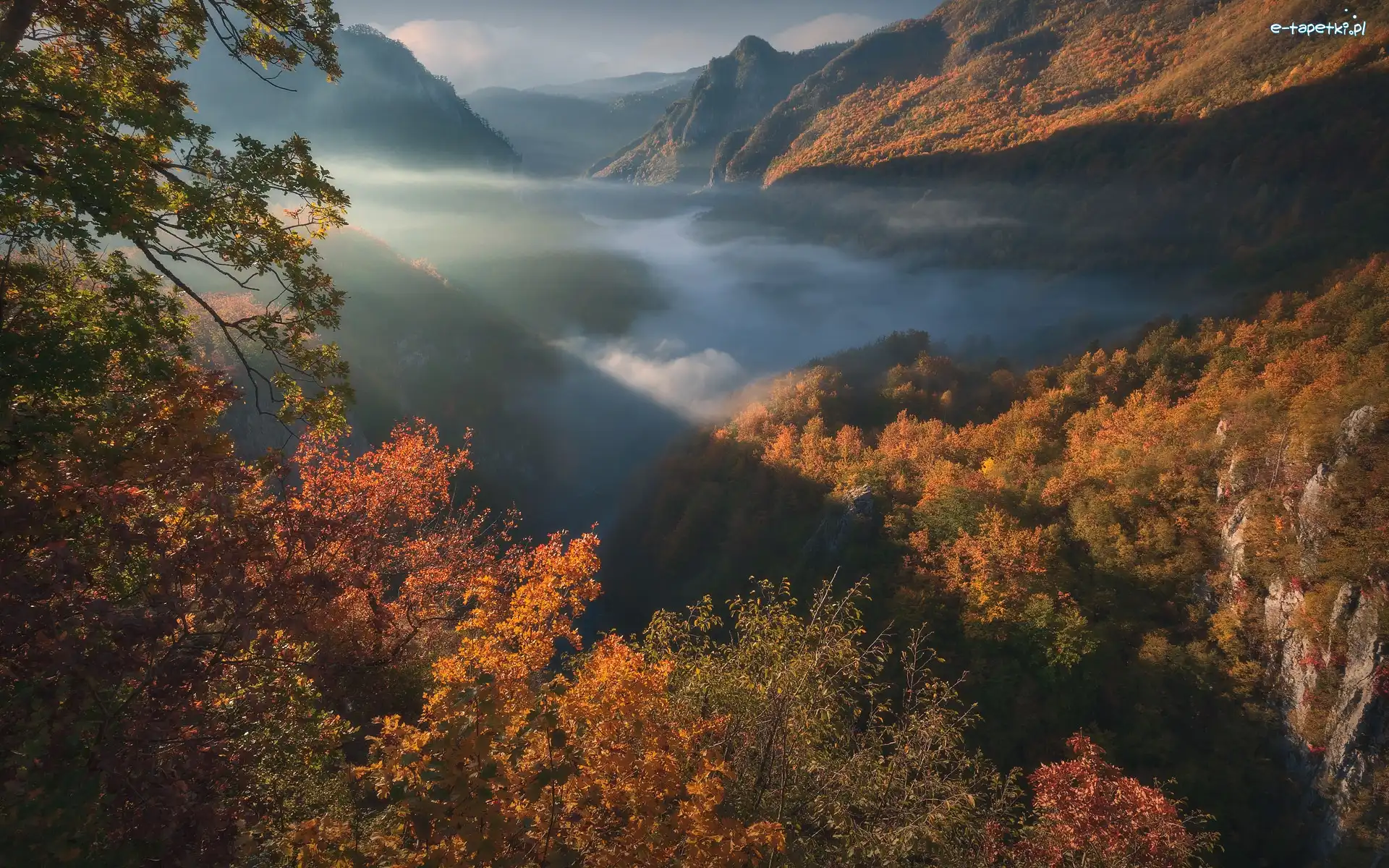 Kanion Tary, Wąwóz, Drzewa, Las, Jesień, Czarnogóra, Park Narodowy Durmitor, Góry, Mgła