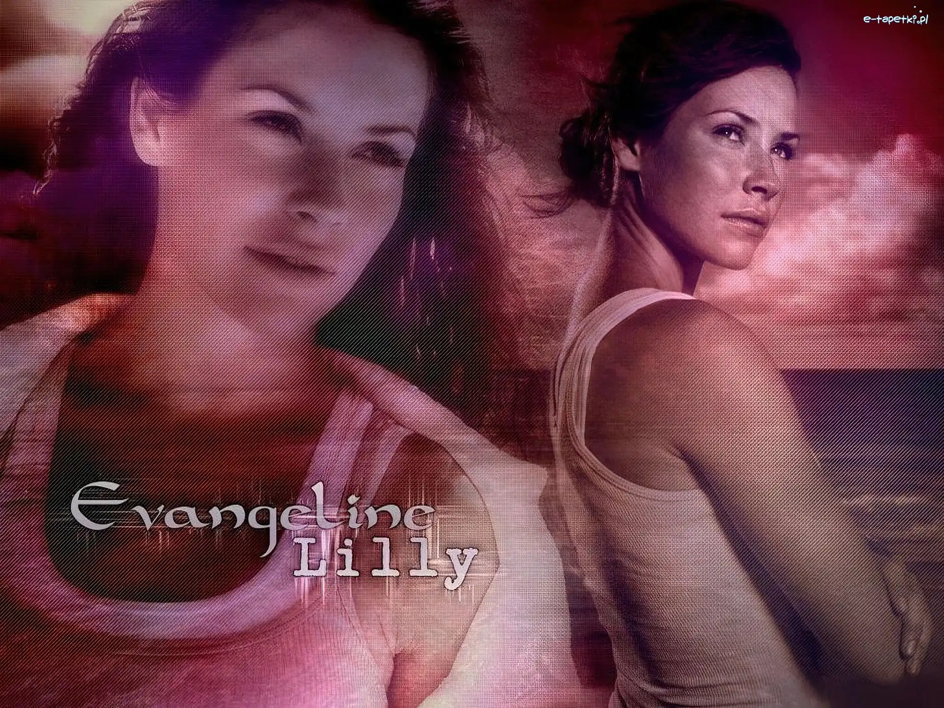 Evangeline Lilly, Lost, Serial