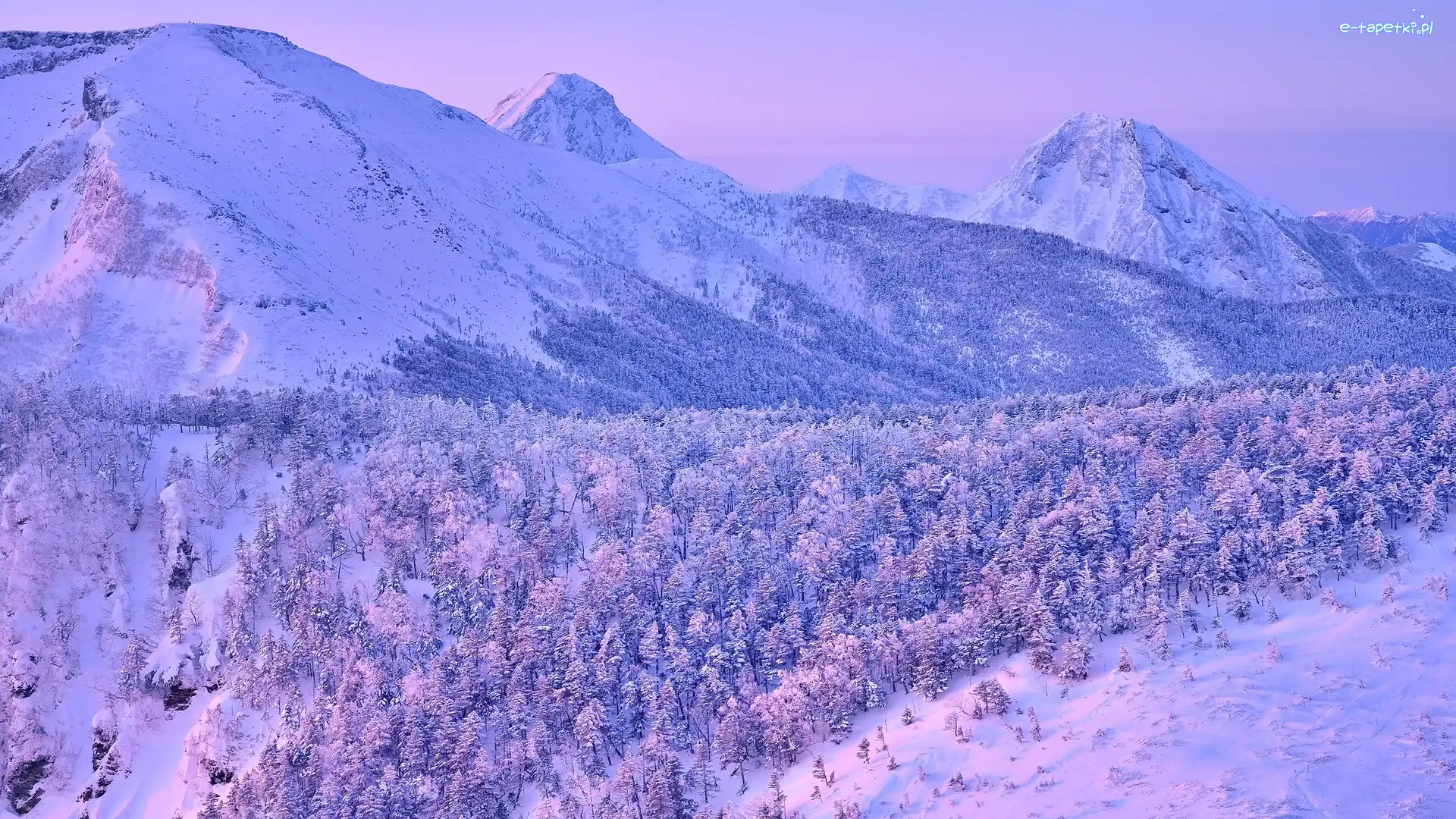 Wyspa Honsiu, Ośnieżone, Drzewa, Japonia, Góry Yatsugatake, Zima