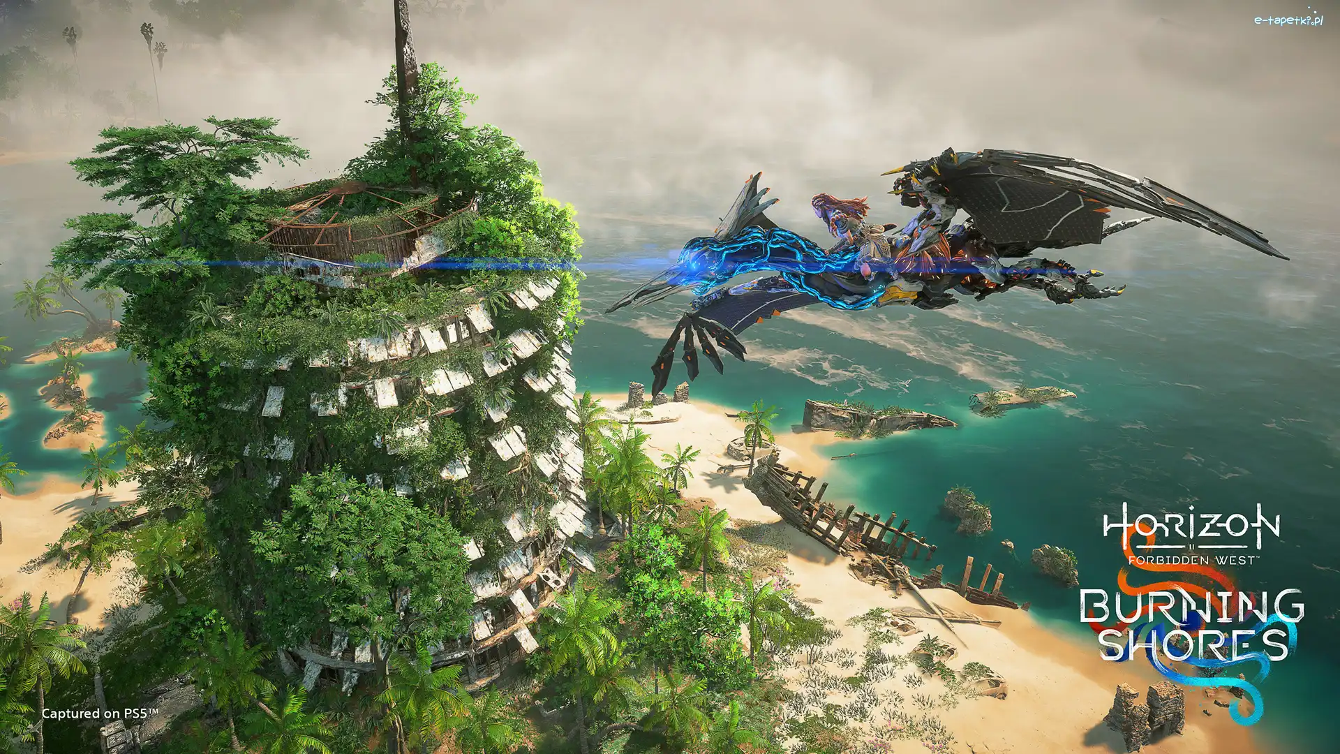 Wyspa, Gra, Rośliny, Burning Shores, Plakat, Postać, Ocean, Cyber-ptak, Aloy, Horizon Forbidden West, Wieża