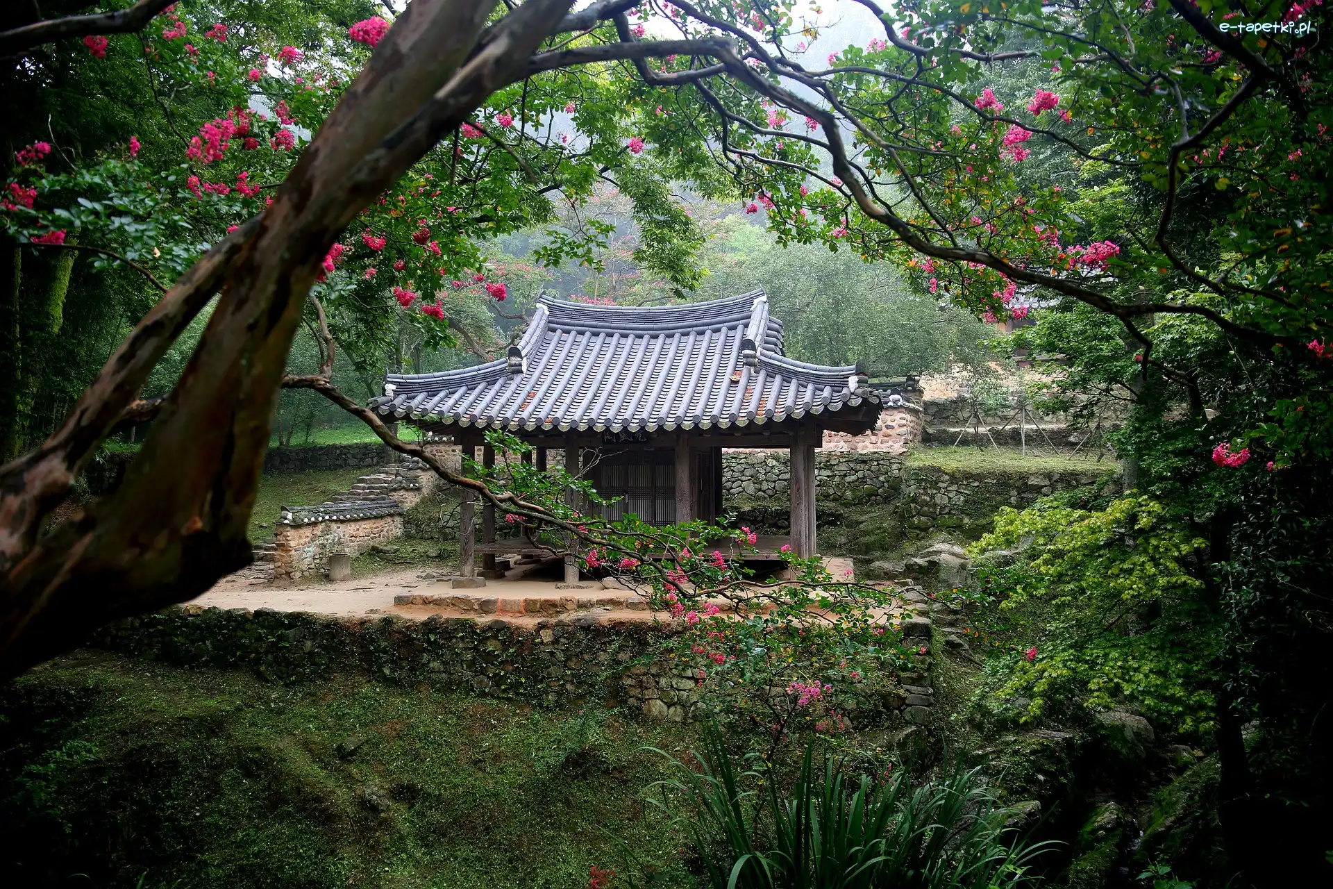 Altana, Soswaewon Garden, Ogród, Korea Południowa, Damyang