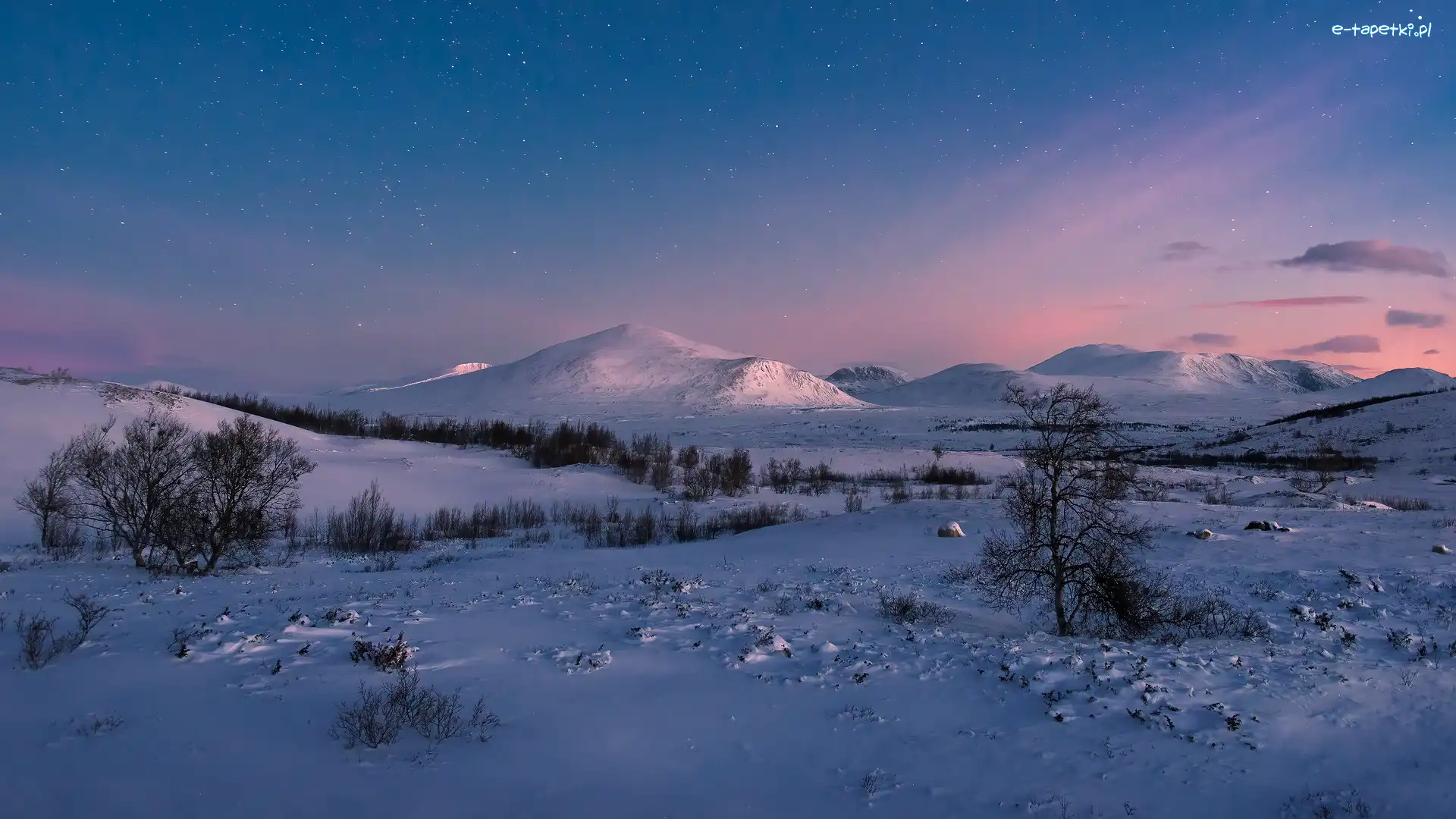 Norwegia, Drzewa, Niebo, Góry Dovre, Zima, Park Narodowy Dovrefjell, Gwiazdy